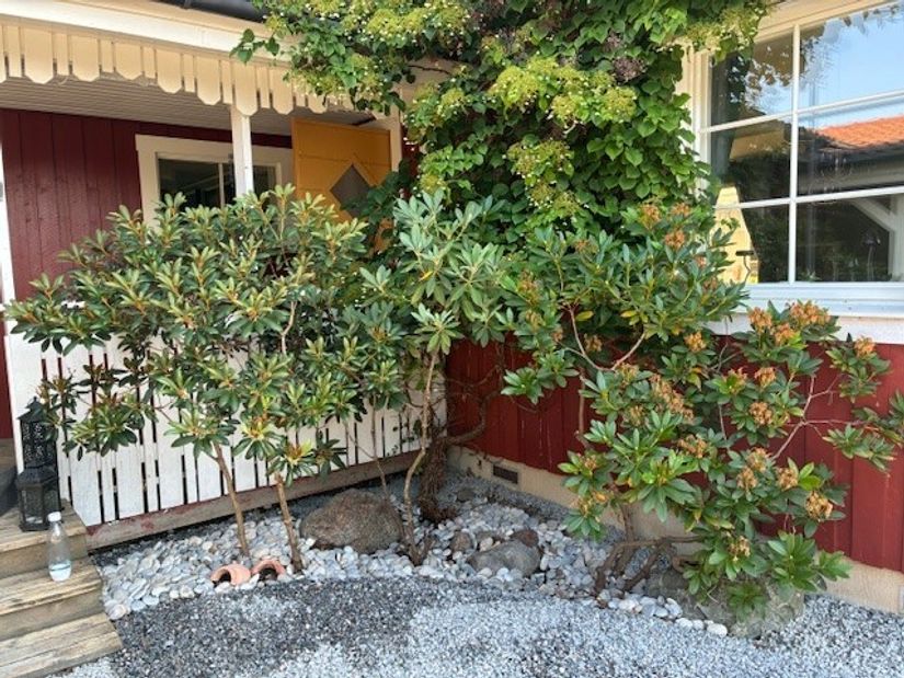 Villa, Säbyholmsvägen 9, Rosersberg, Sigtuna