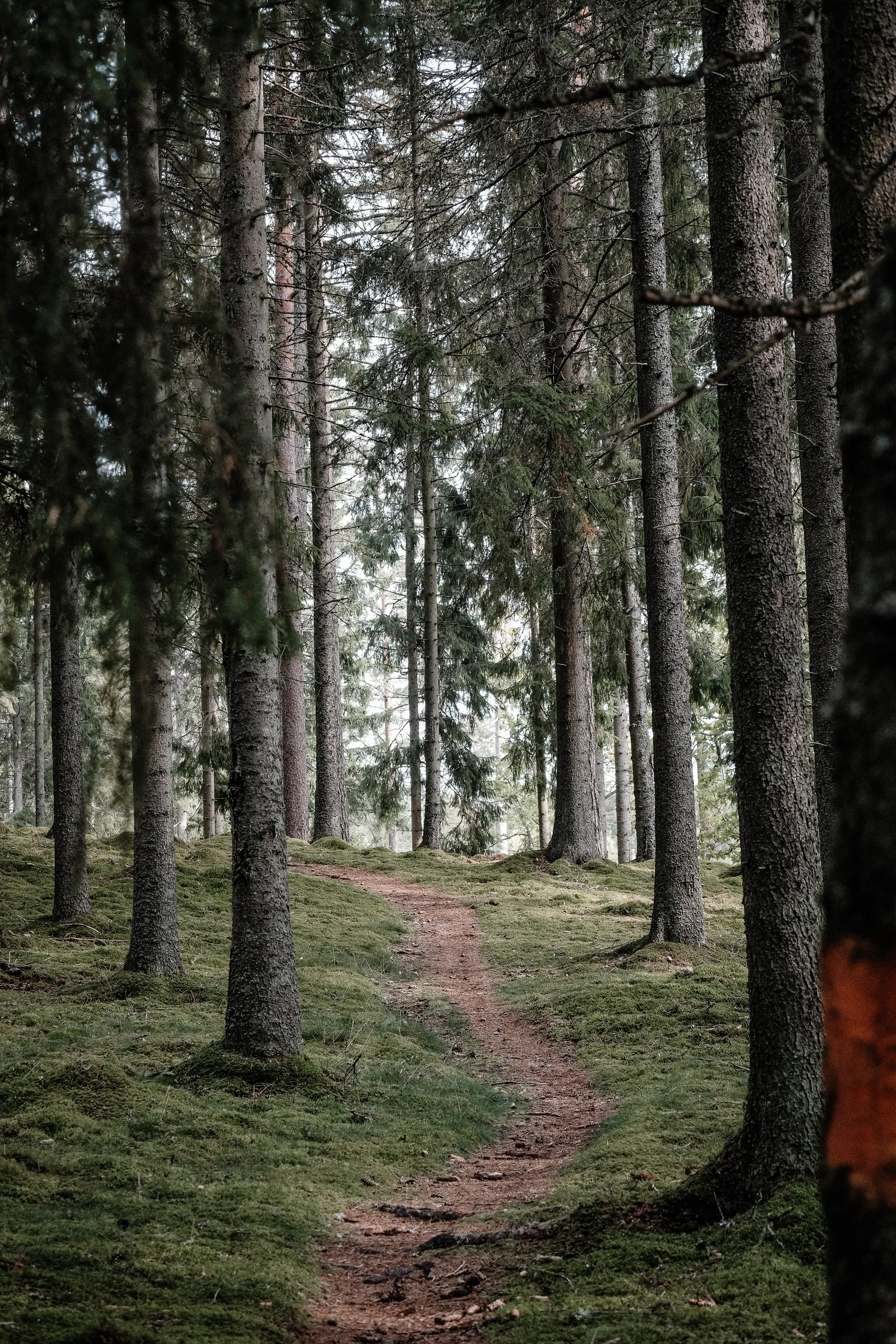 Bostadsrätt, Radhus, Tranan 16, Herrljunga centralt, Herrljunga