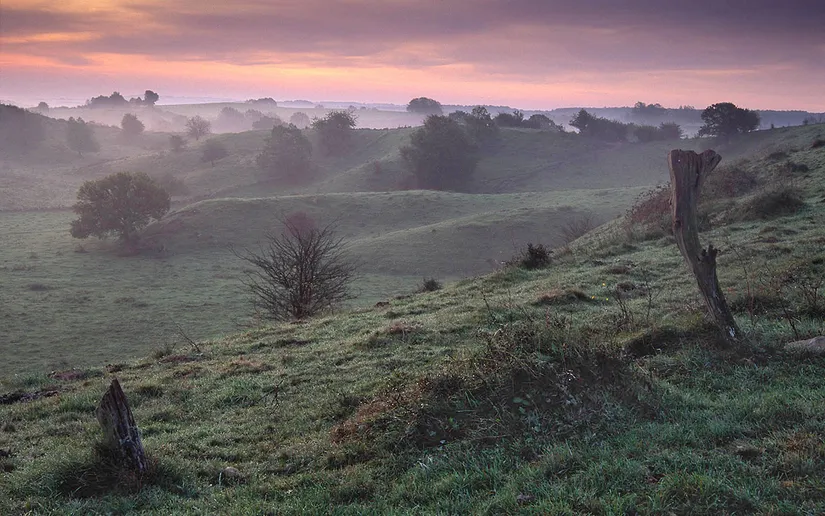 Tomt, Iris och Gurlis väg 7, Brösarp, Tomelilla