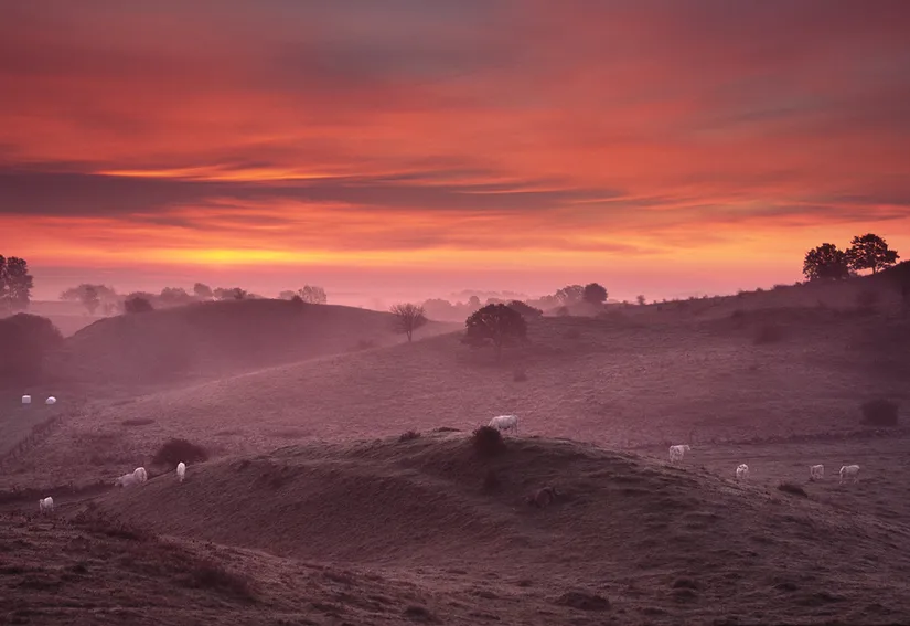 Tomt, Iris och Gurlis väg 7, Brösarp, Tomelilla