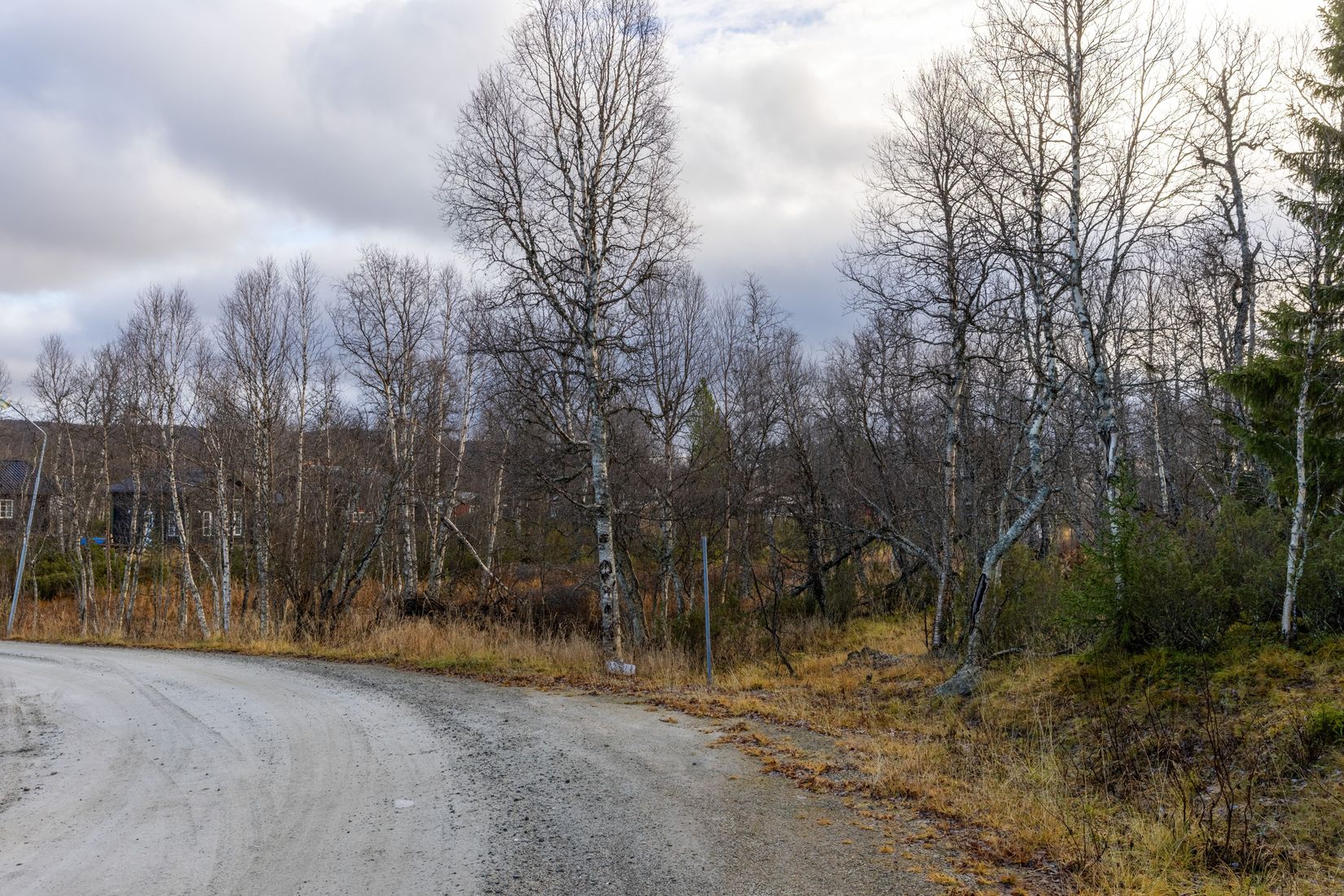 Tomt, Matsbo 29A, Bruksvallarna, Härjedalen