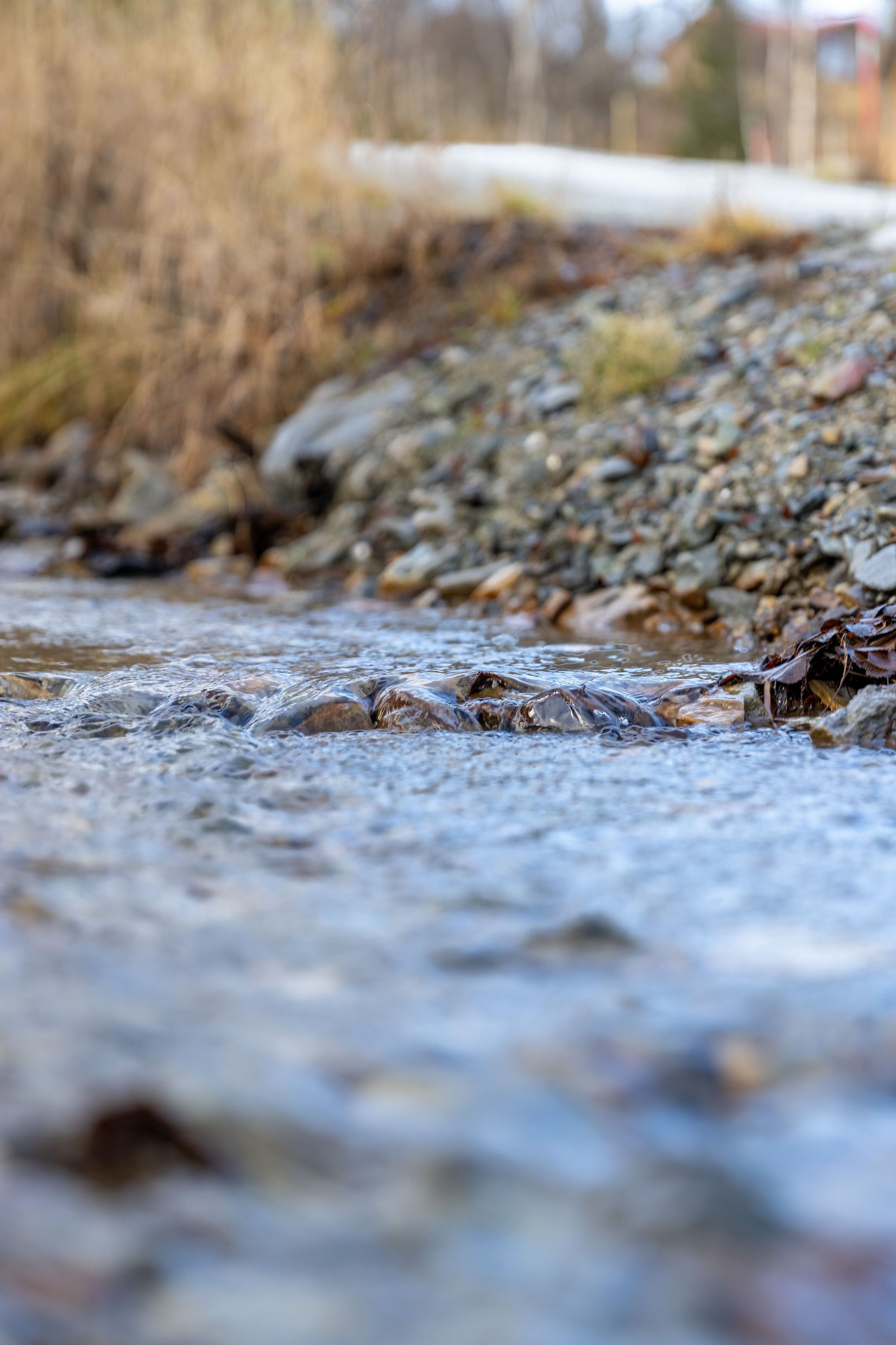 Tomt, Matsbo 29A, Bruksvallarna, Härjedalen
