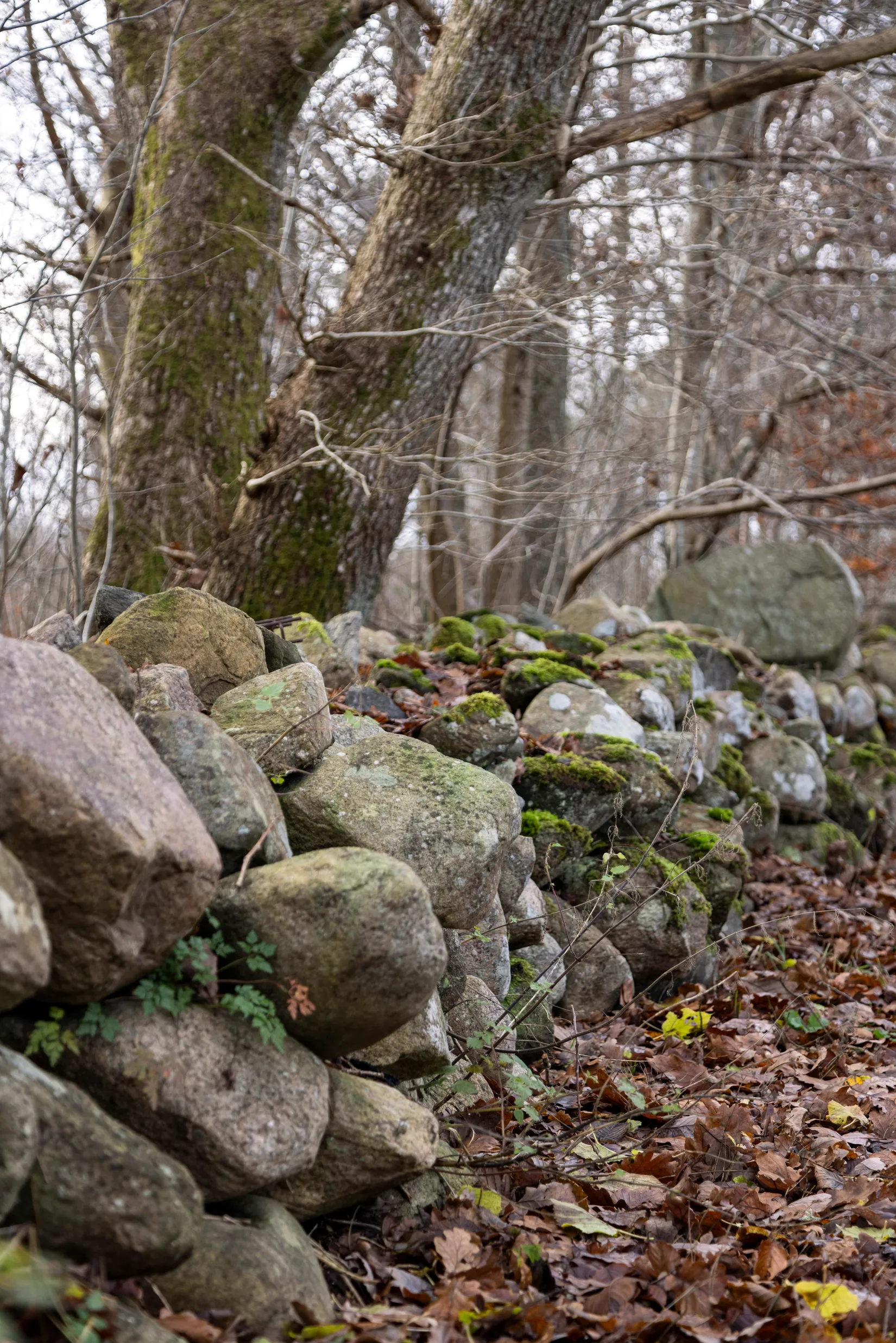 Villa, Nordanåvägen 40, Hishult , Laholm