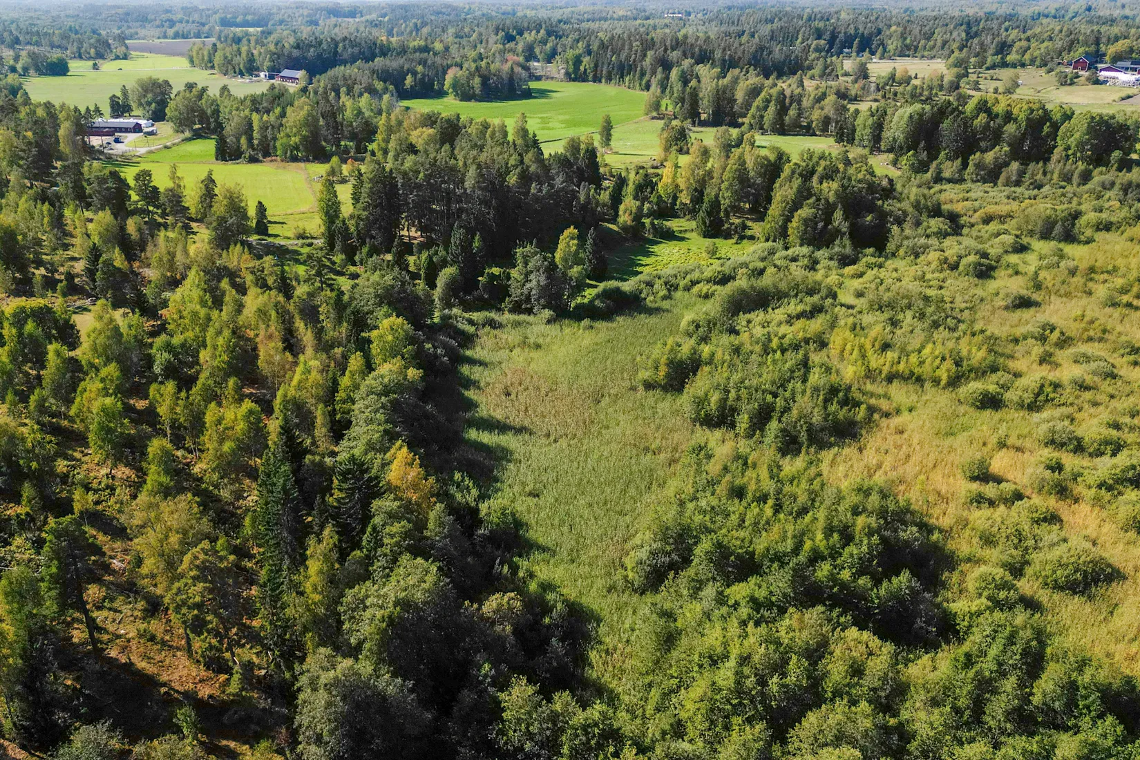 Gård/Skog, Kvilundavägen 31, Kvilunda, Norrtälje