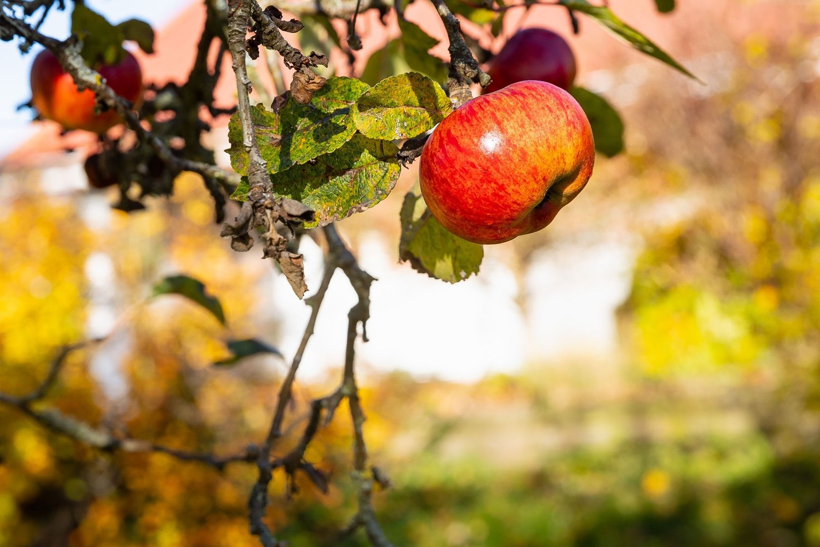 Villa, Riksvägen 83, Lyckeby, Östra Torp, Karlskrona