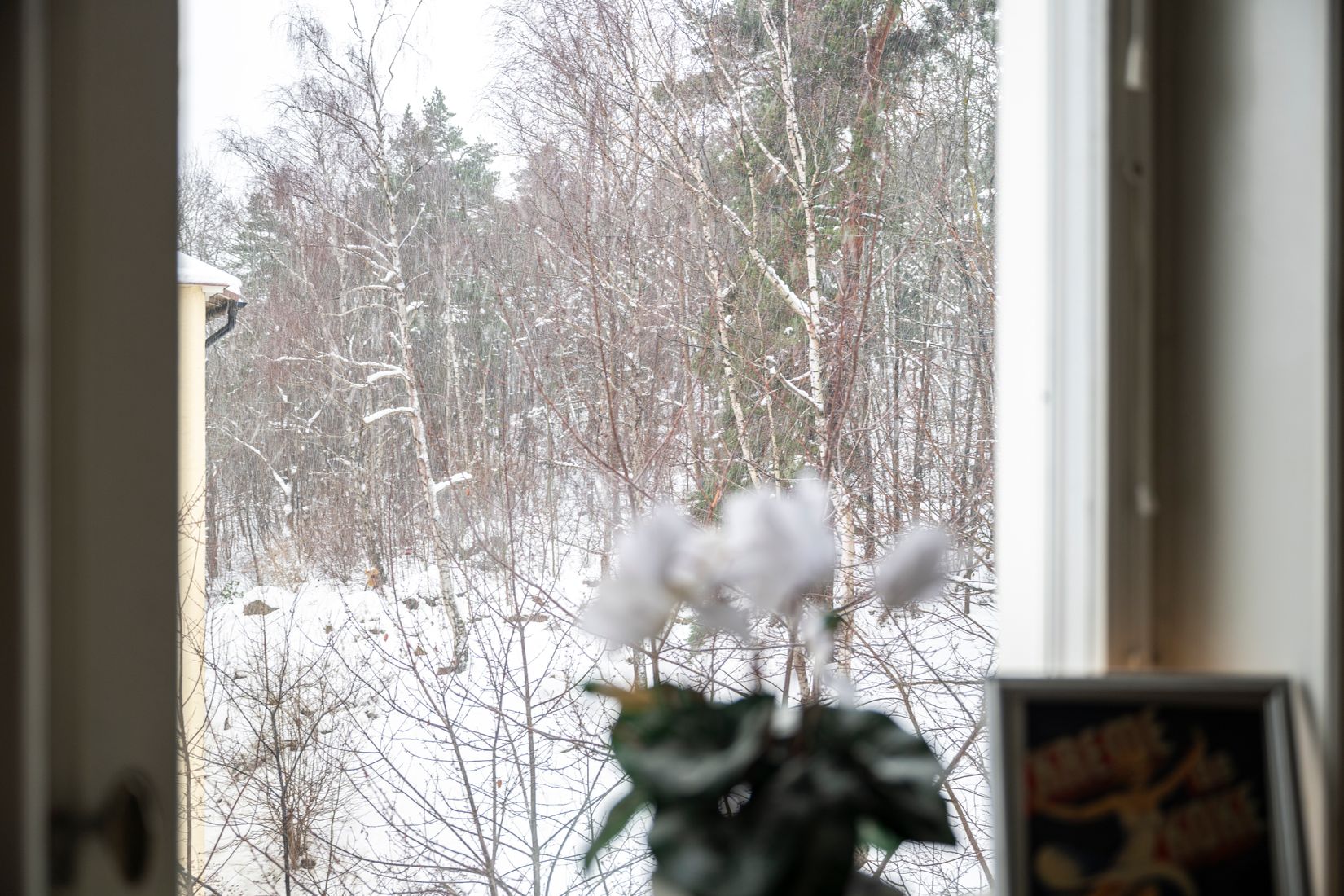 Bostadsrätt, Spångavägen 14, Riksby, Stockholm