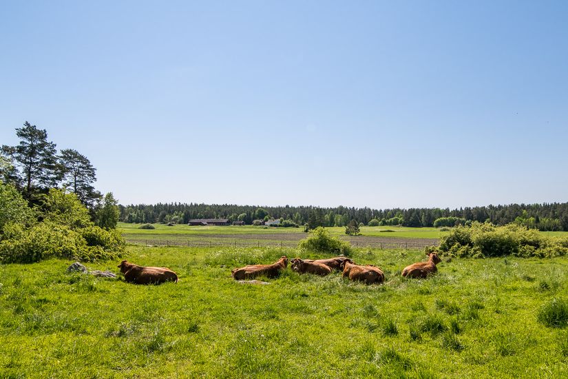 Gård/Skog, Kindtorp 1, Bottna, Söderköping