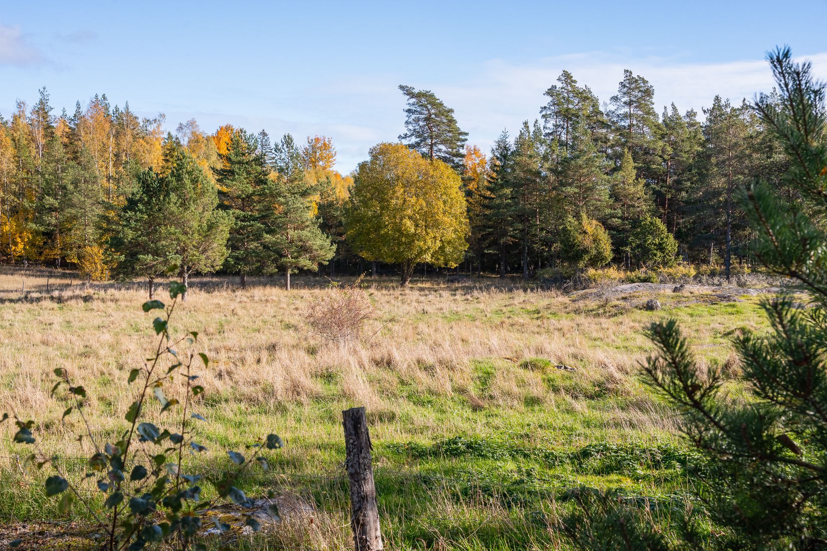 Gård/Skog, Kindtorp 1, Bottna, Söderköping