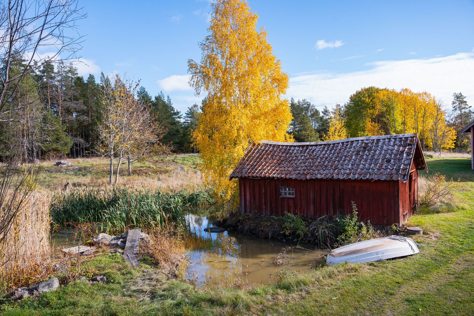 Gård/Skog, Kindtorp 1, Bottna, Söderköping