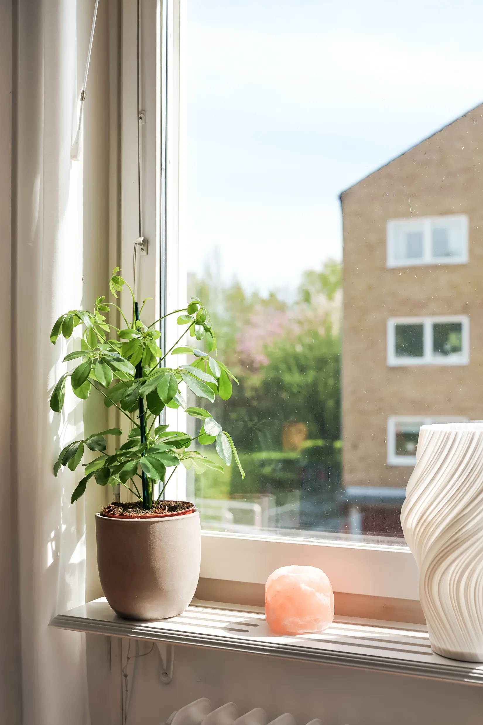 Bostadsrätt, Måsvägen 5A, Väster, Lund