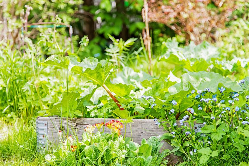 Bostadsrätt, Träkilsgatan 48, Björkekärr, Göteborg