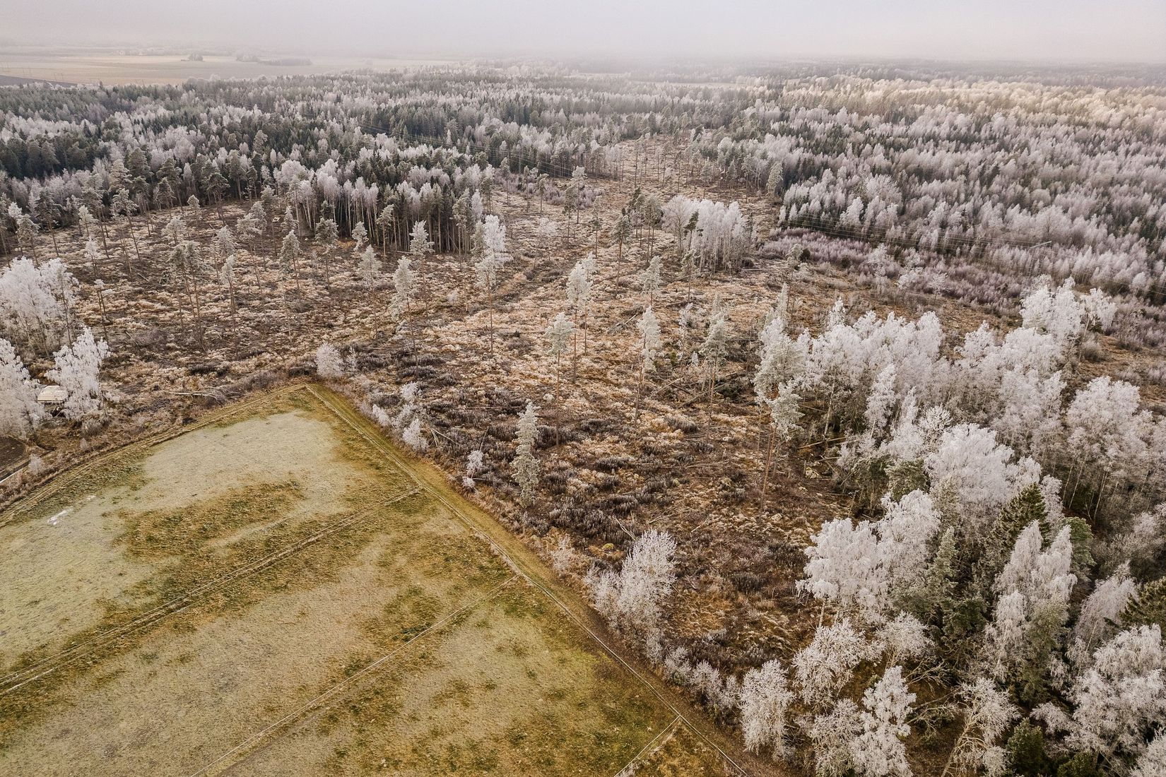 Tomt, Jung, Enköping