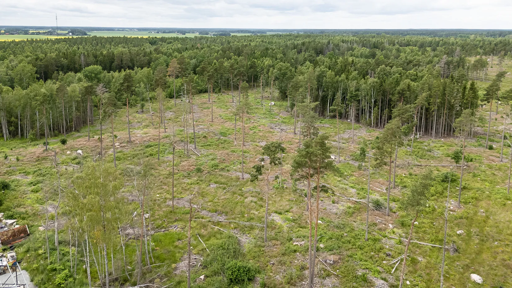 Tomt, Jung, Enköping