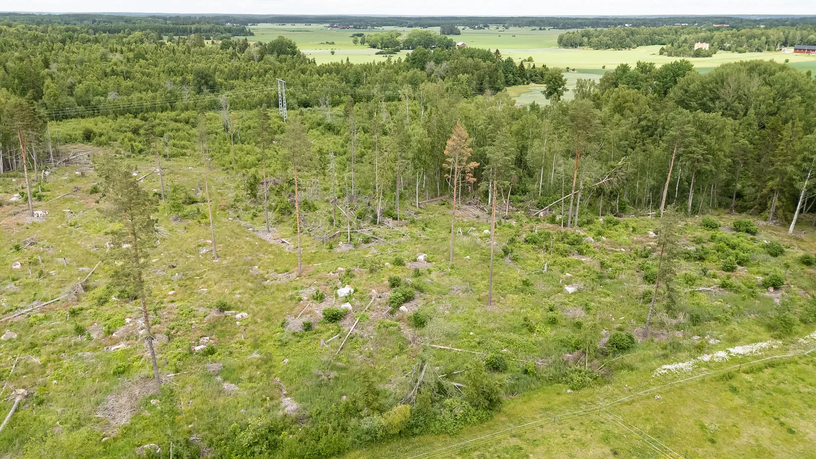 Tomt, Jung, Enköping