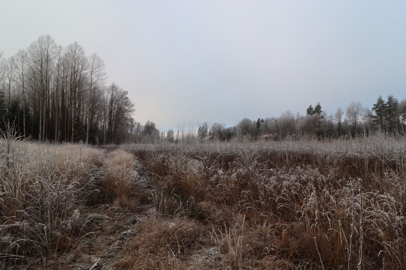 Tomt, Vattholma Vargdansen 219B, Uppland, Uppsala