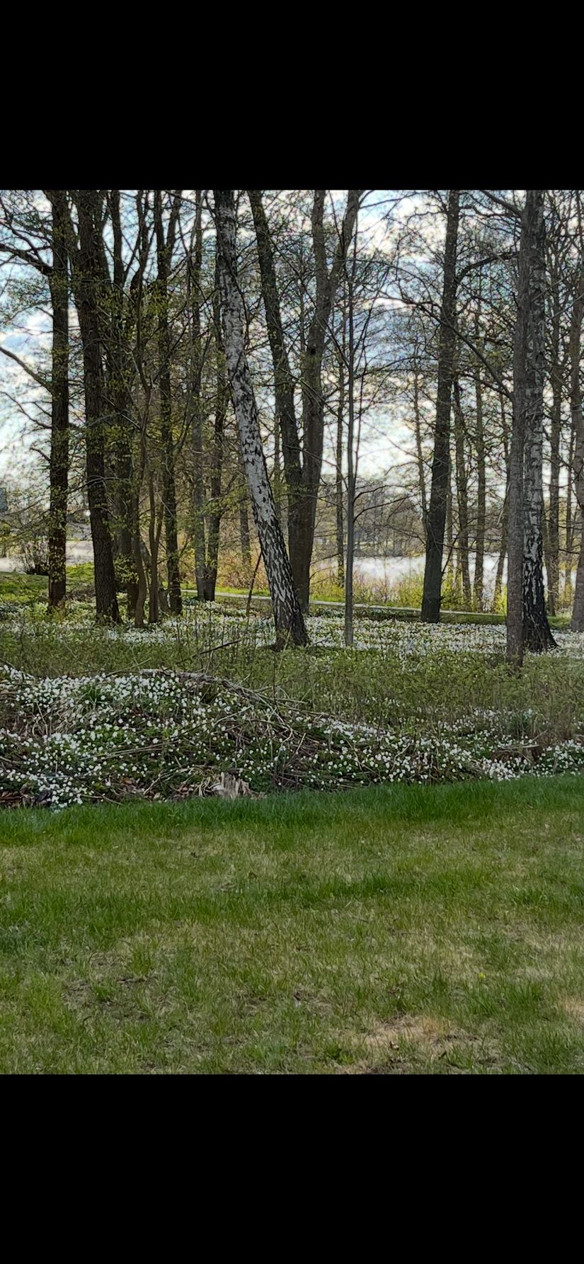 Bostadsrätt, Stafettvägen 10A, Replösa, Ljungby