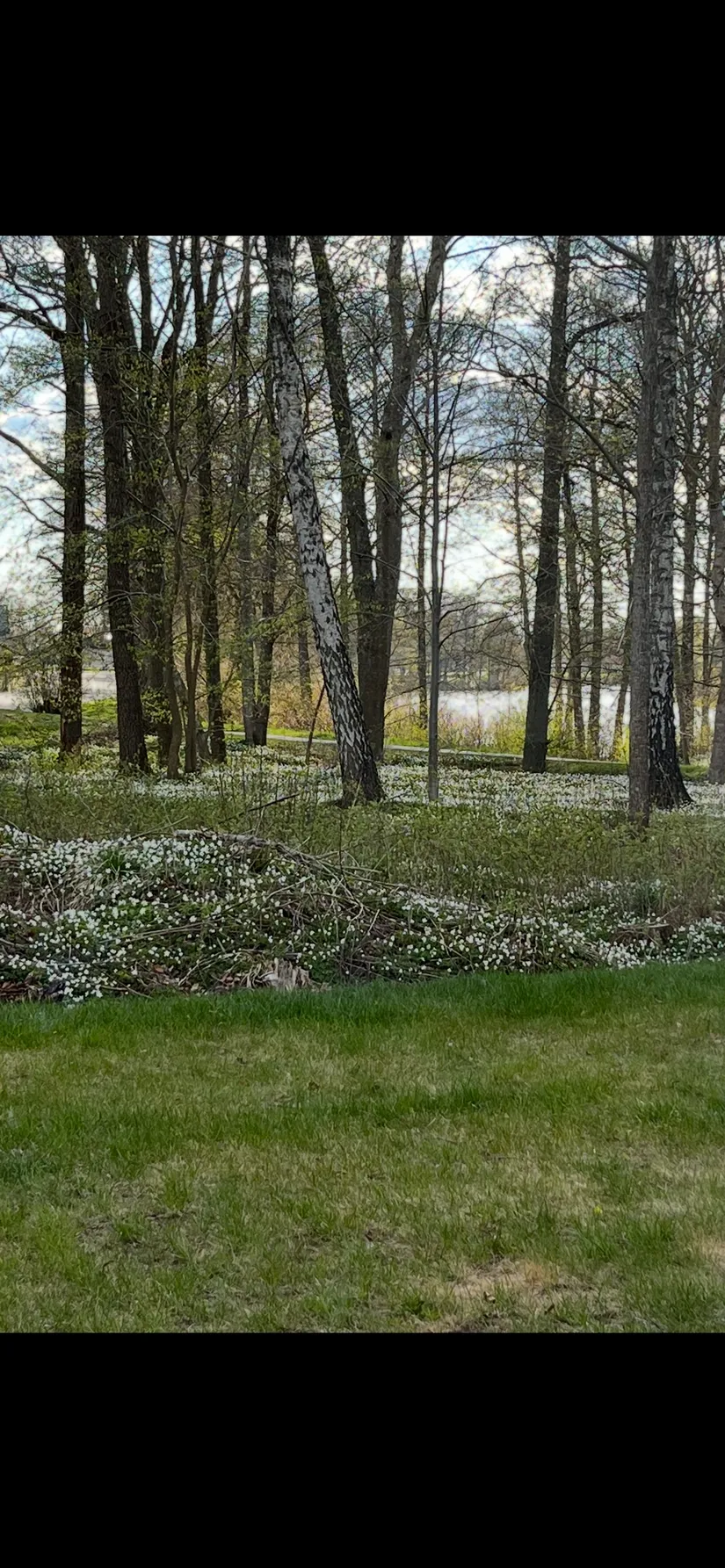 Bostadsrätt, Stafettvägen 10A, Replösa, Ljungby