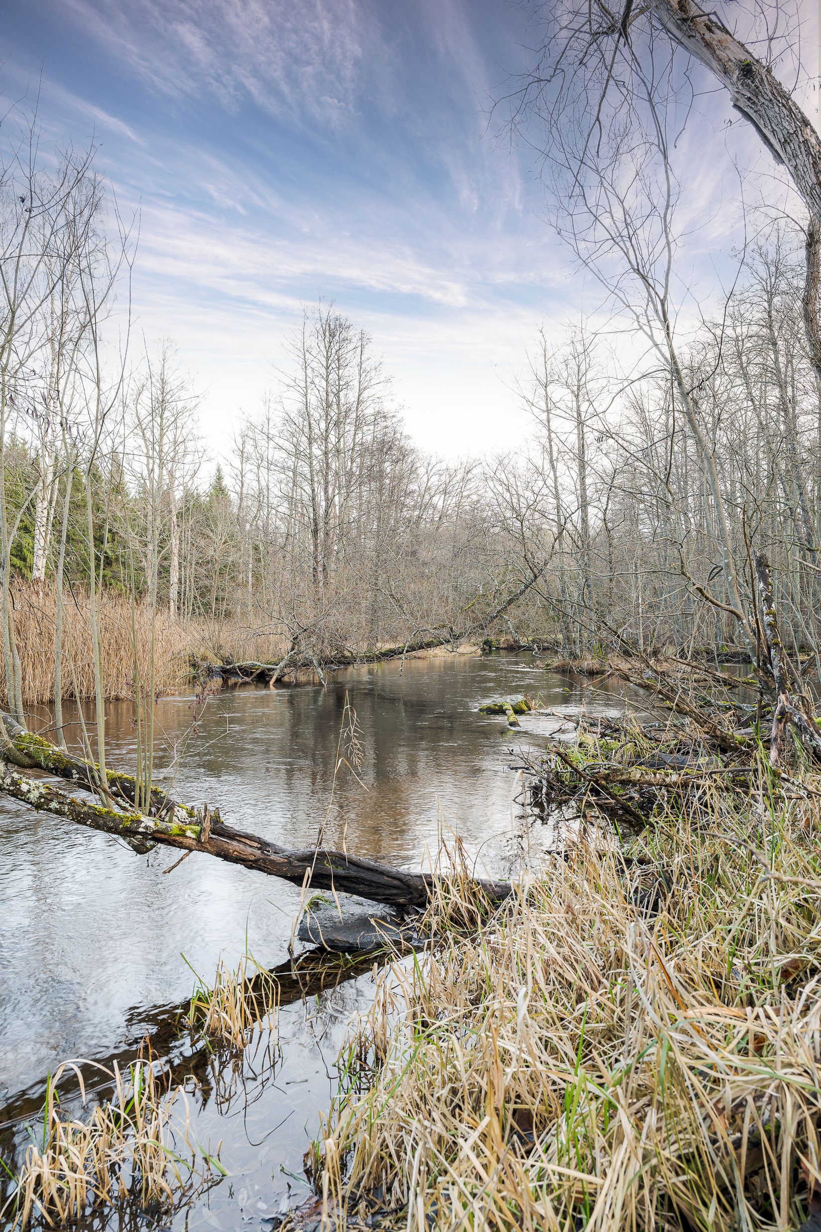 Villa, Forsa Björkhaga 4, Katrineholm