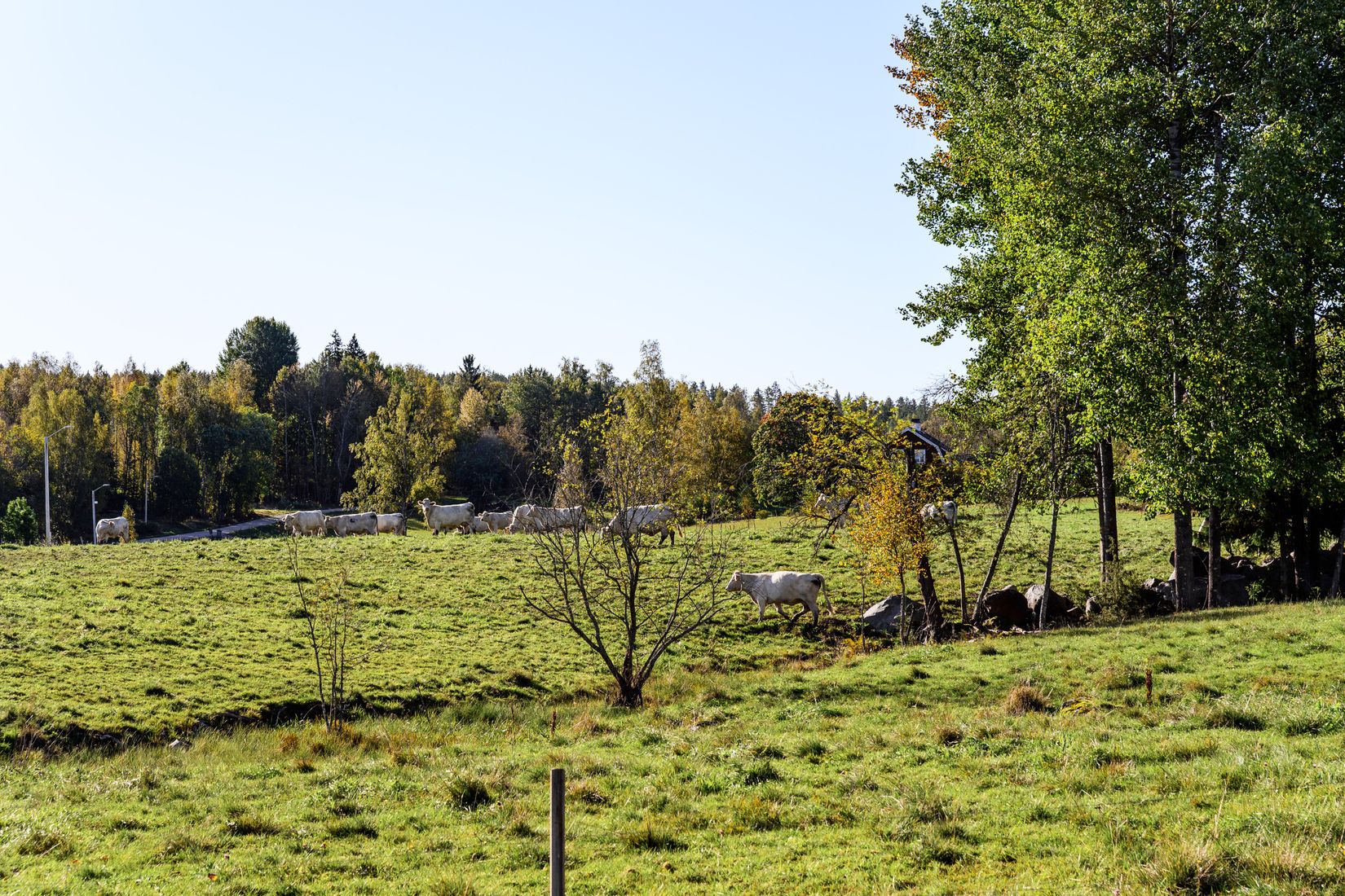 Villa, Kolbergsbo 8, Sundborn, Falun