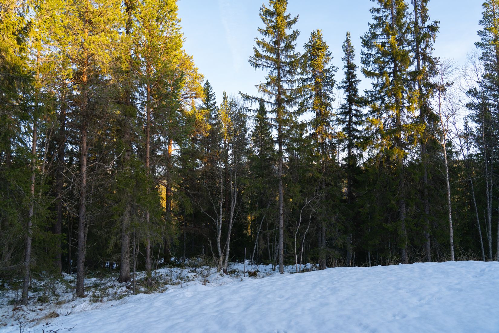 Bostadsrätt, Parkstigen 48A, Funäsdalen, Härjedalen