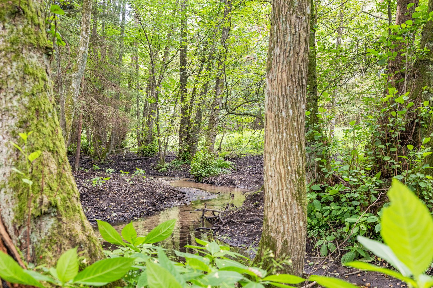 Villa, Rödde Mellanväg 2-14, Rödde, Sjöbo