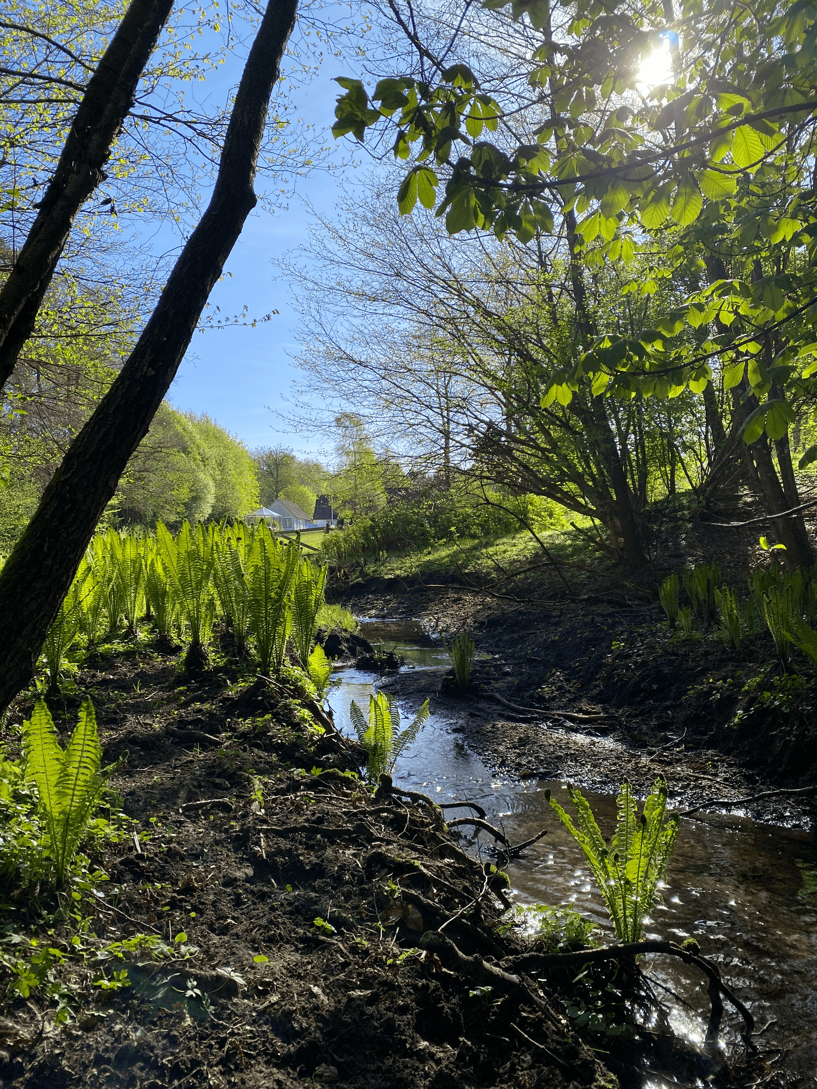 Villa, Rödde Mellanväg 2-14, Rödde, Sjöbo