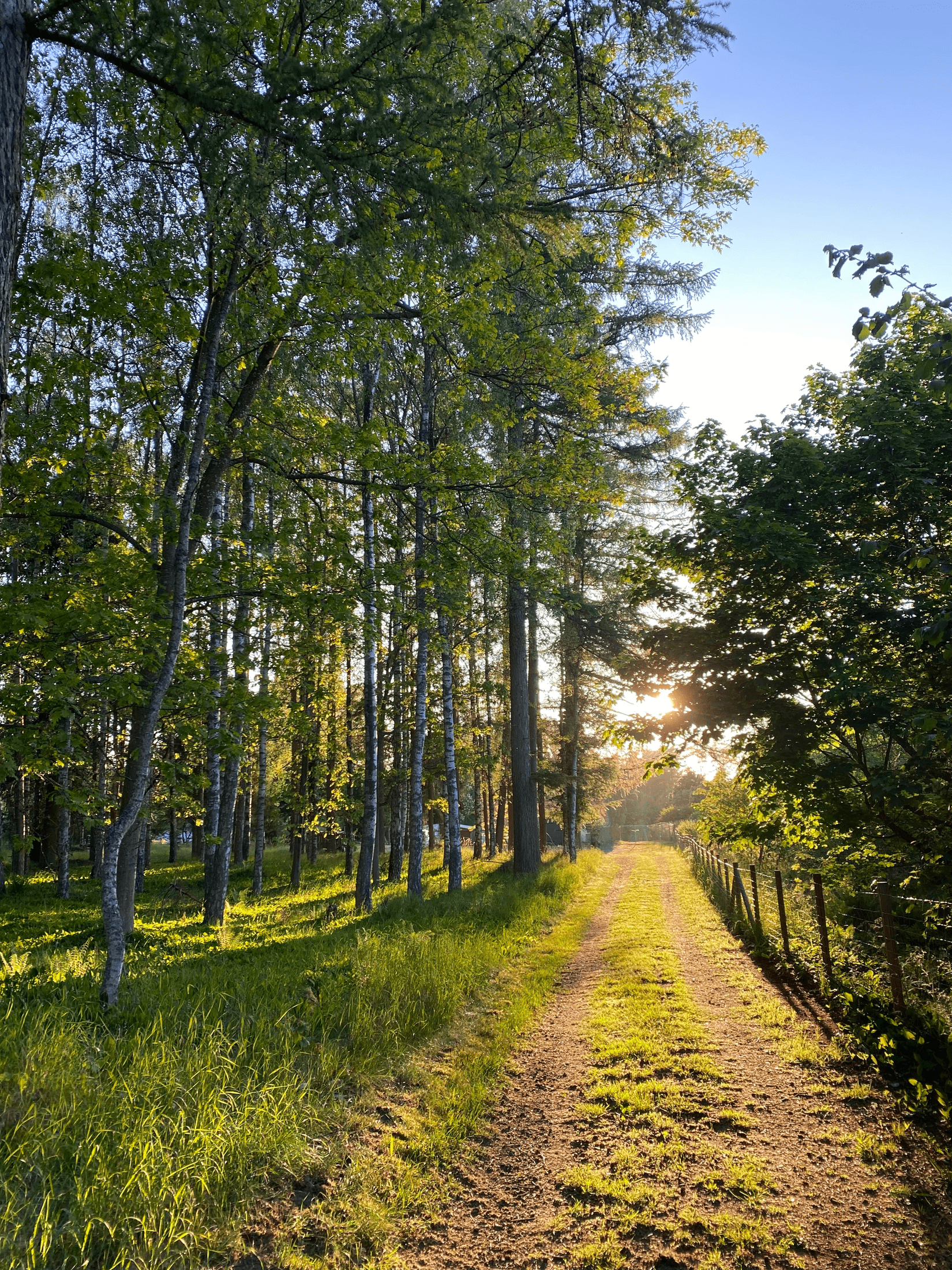 Villa, Rödde Mellanväg 2-14, Rödde, Sjöbo