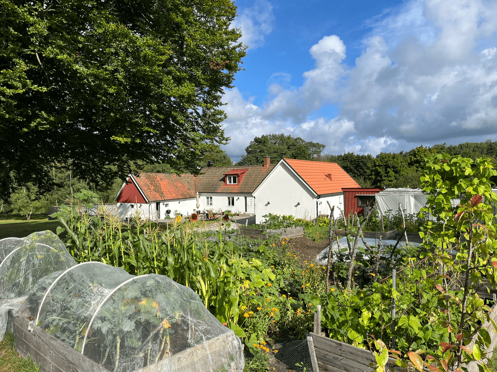 Villa, Rödde Mellanväg 2-14, Rödde, Sjöbo