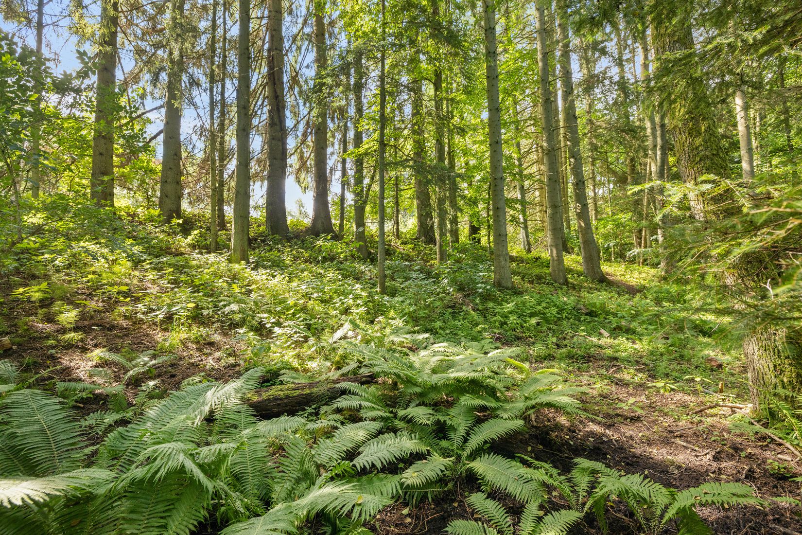 Villa, Rödde Mellanväg 2-14, Rödde, Sjöbo