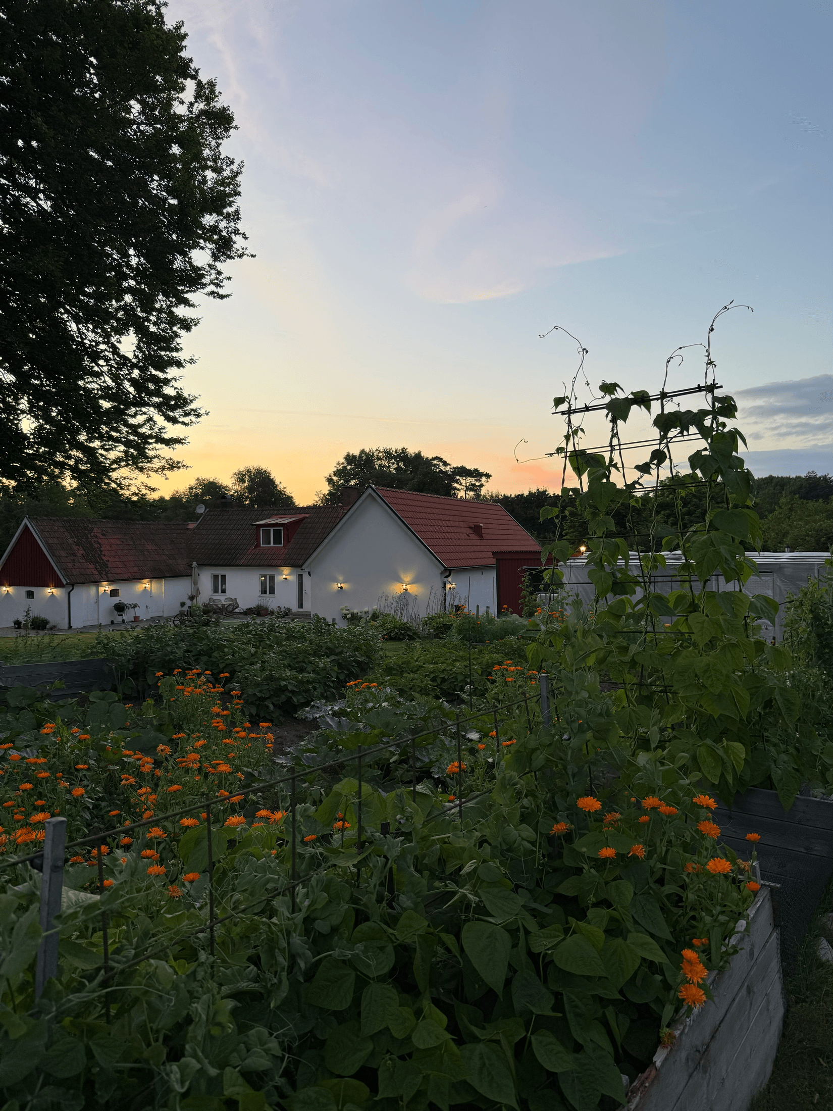 Villa, Rödde Mellanväg 2-14, Rödde, Sjöbo