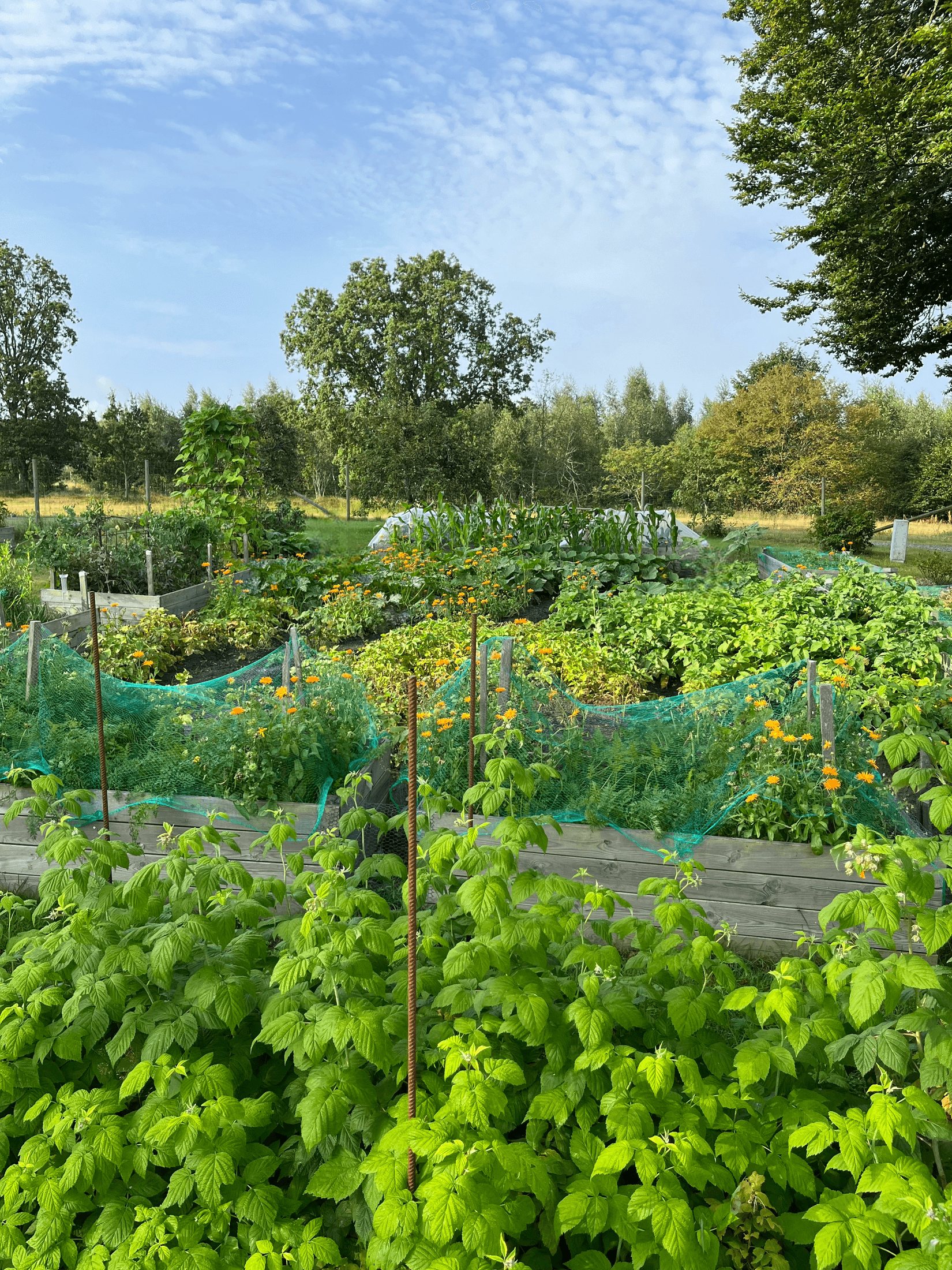 Villa, Rödde Mellanväg 2-14, Rödde, Sjöbo