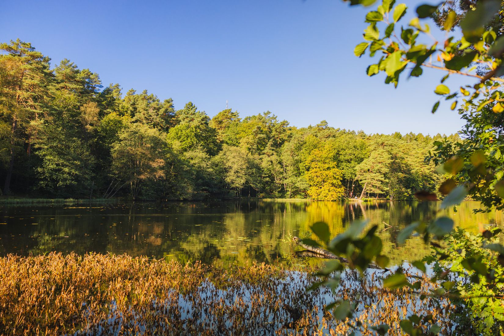 Bostadsrätt, Sehlstedtsgatan 9A, Centrala Hisingen, Göteborg