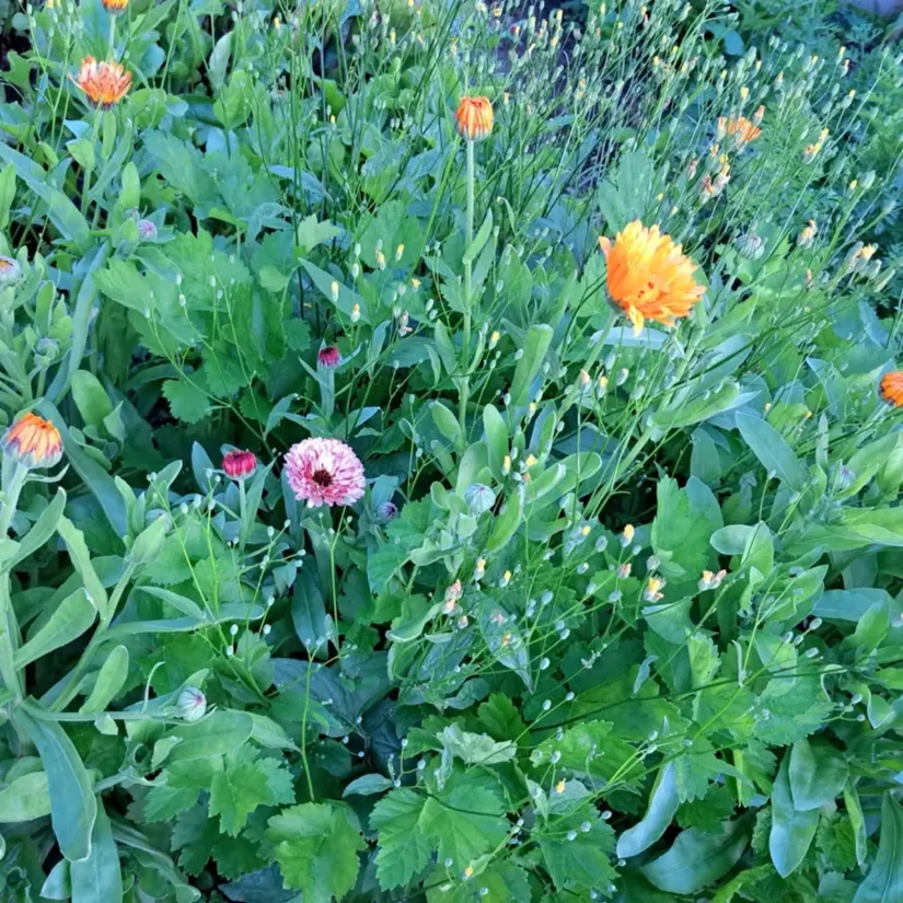 Villa, Smedsgränd 4, Tierp