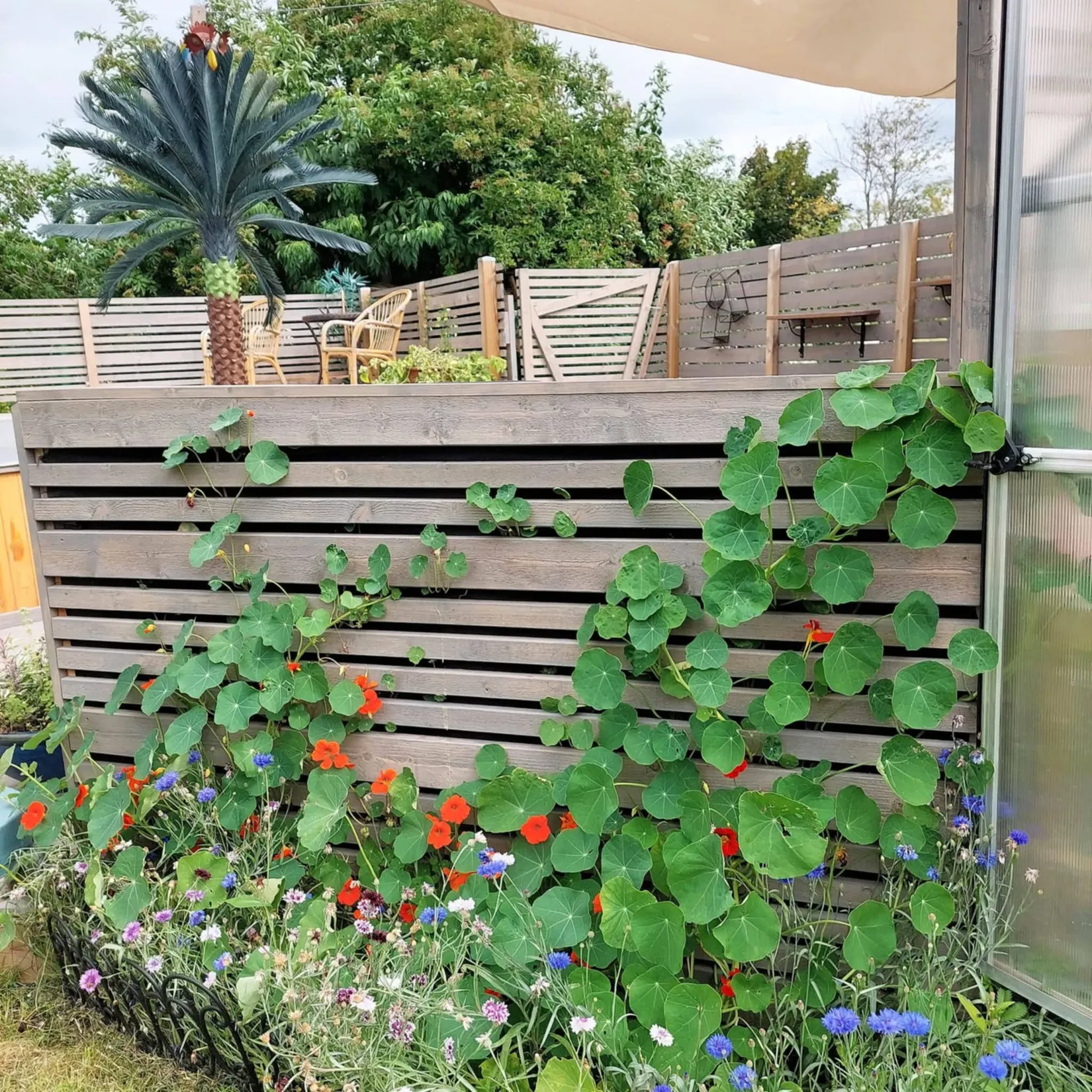 Villa, Smedsgränd 4, Tierp