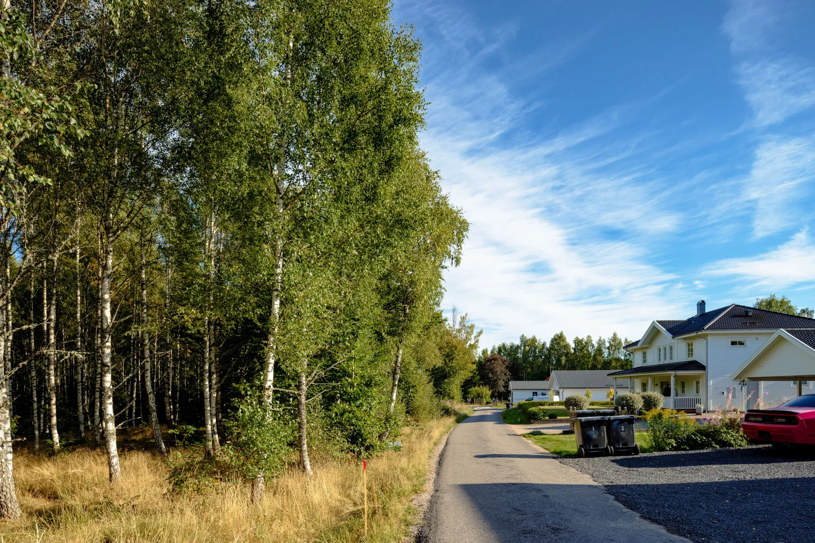 Gård/Skog, Älmåsen, Växjö
