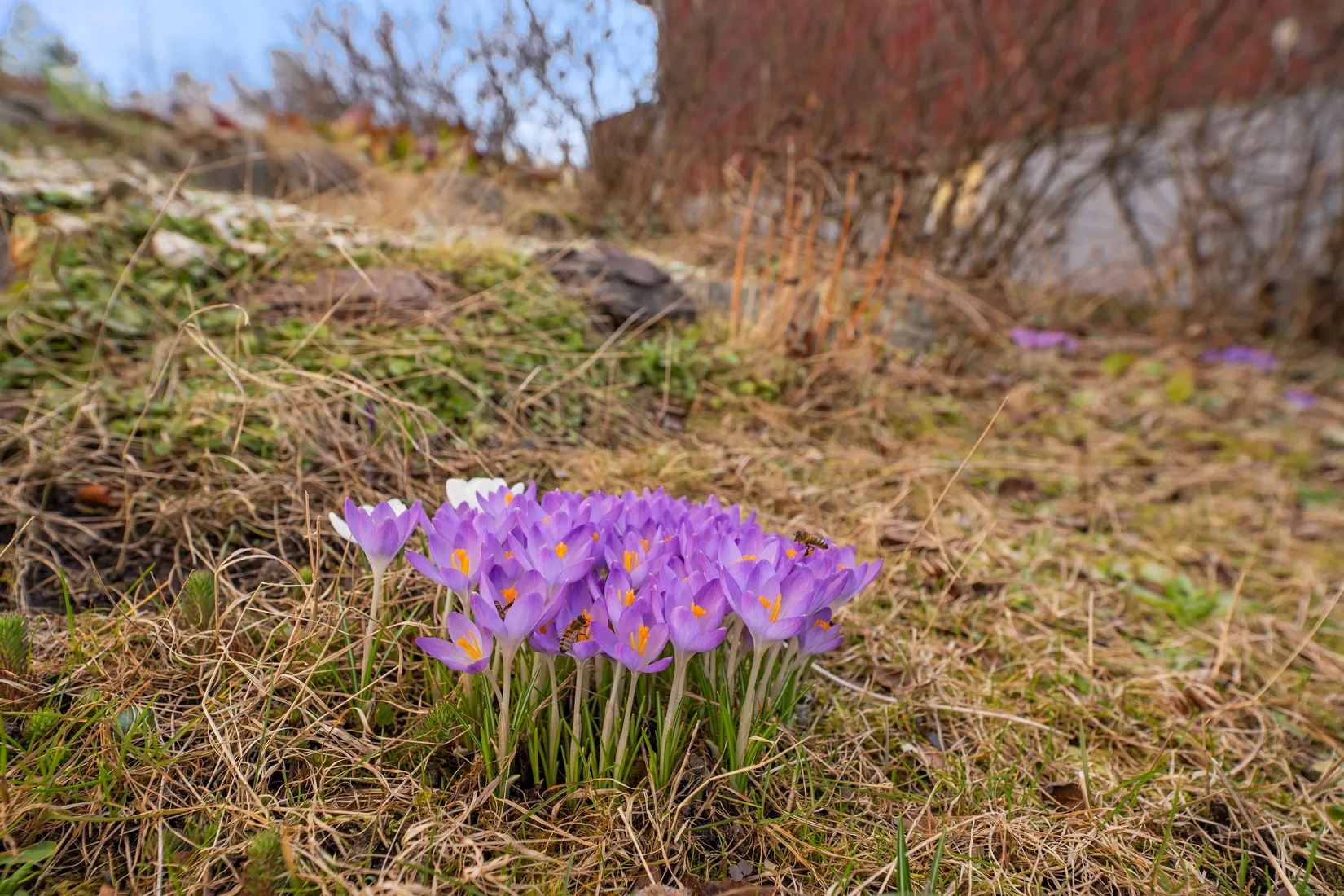 Villa, Trollsländevägen 14, Skyttorp, Uppsala