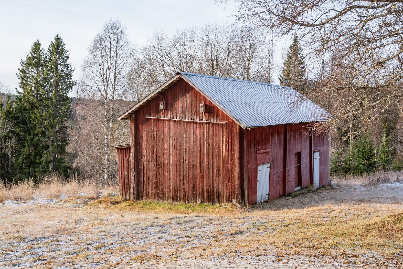 Gård/Skog, Arnsjön 67, Östmark med omnejd, Torsby