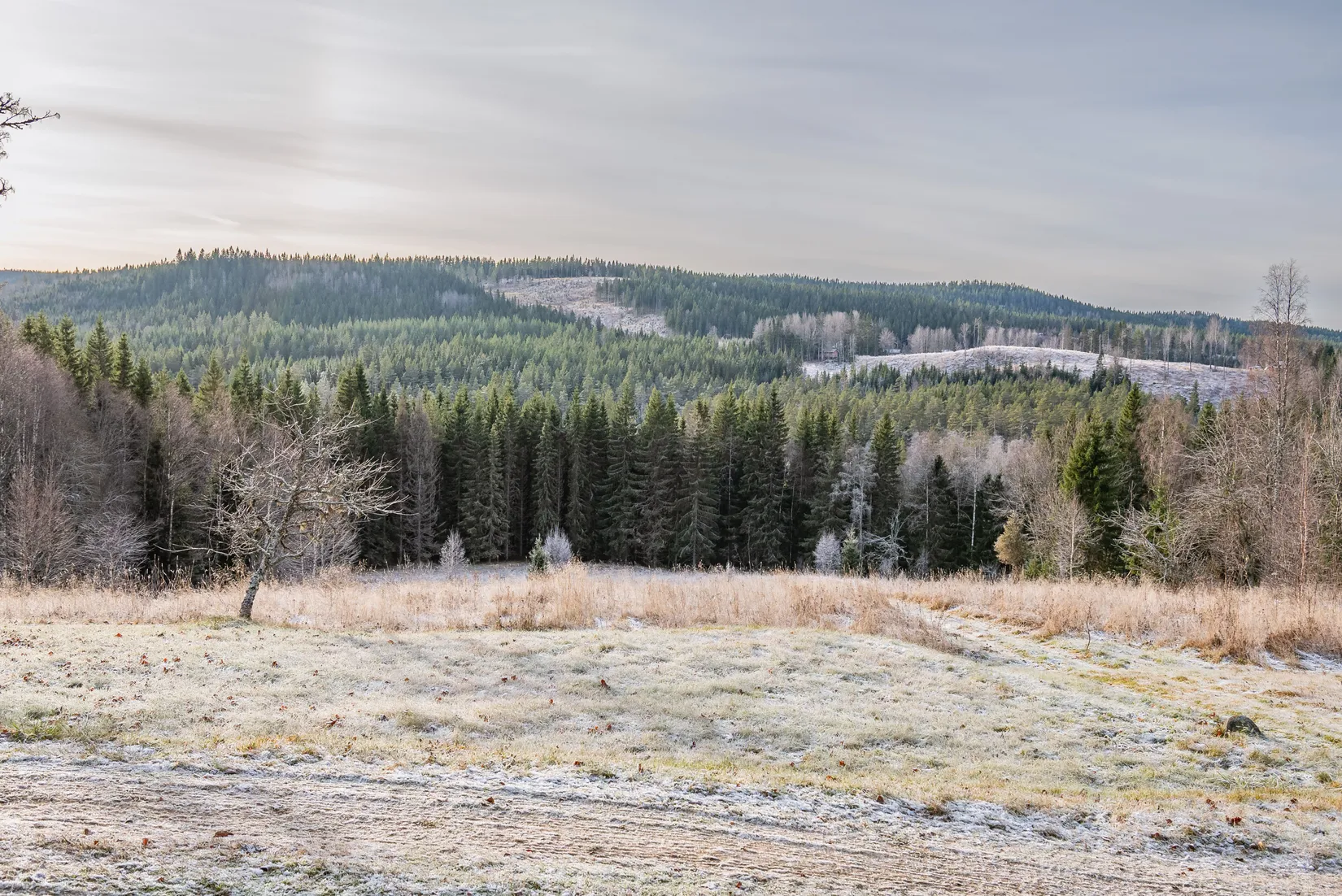 Gård/Skog, Arnsjön 67, Östmark med omnejd, Torsby