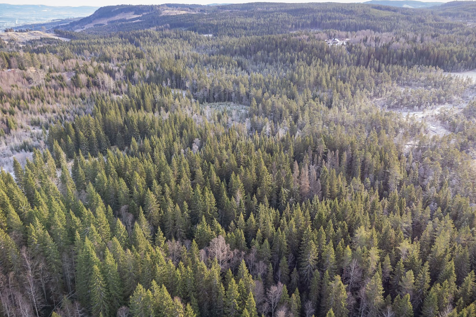Gård/Skog, Arnsjön 67, Östmark med omnejd, Torsby