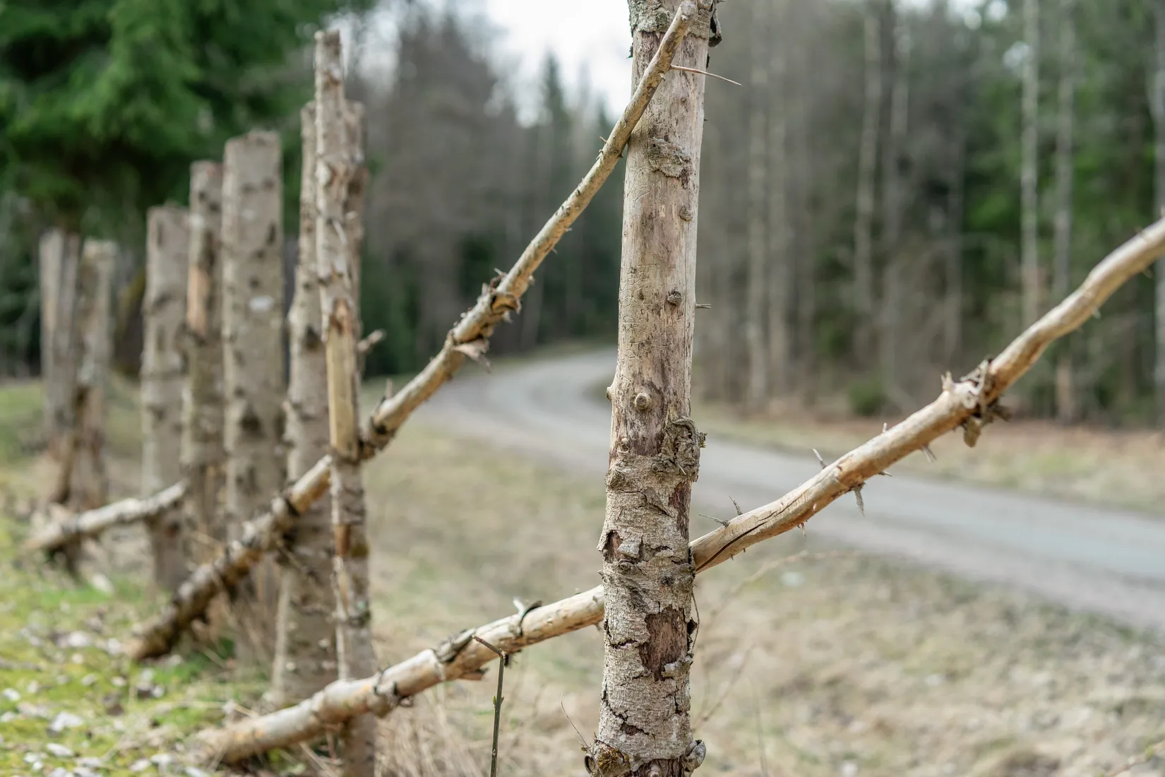 Fritidshus, Sparresäter Lövrödjan, Skövde