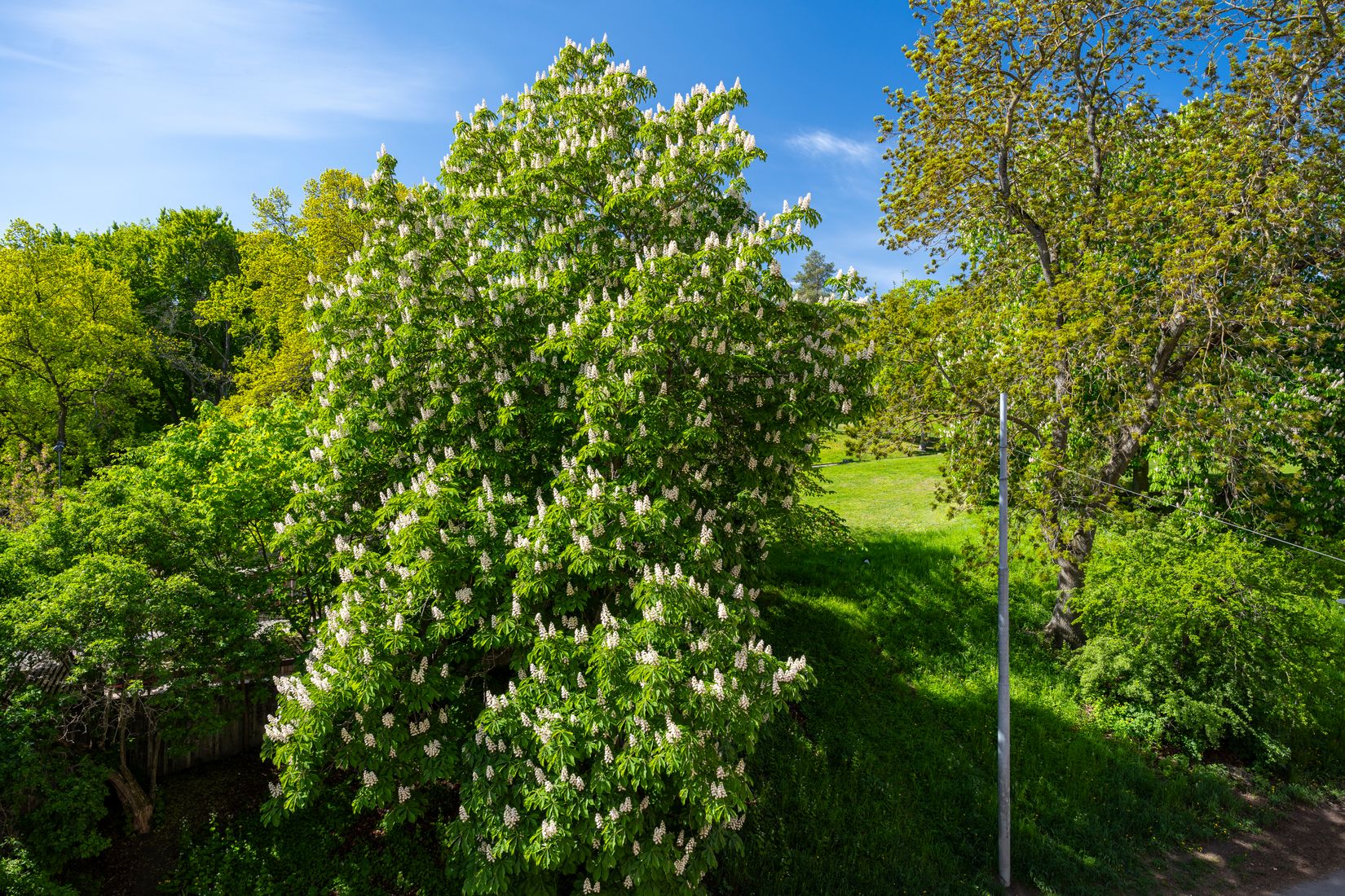 Bostadsrätt, Parkgatan, Kungsholmen, Stockholm