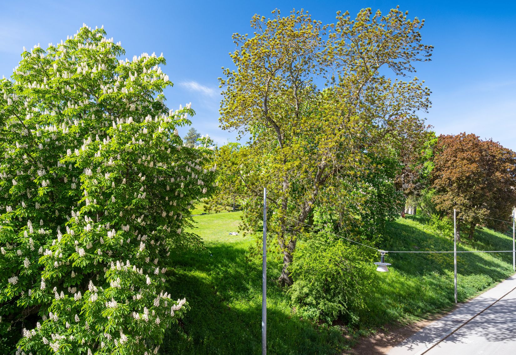 Bostadsrätt, Parkgatan, Kungsholmen, Stockholm