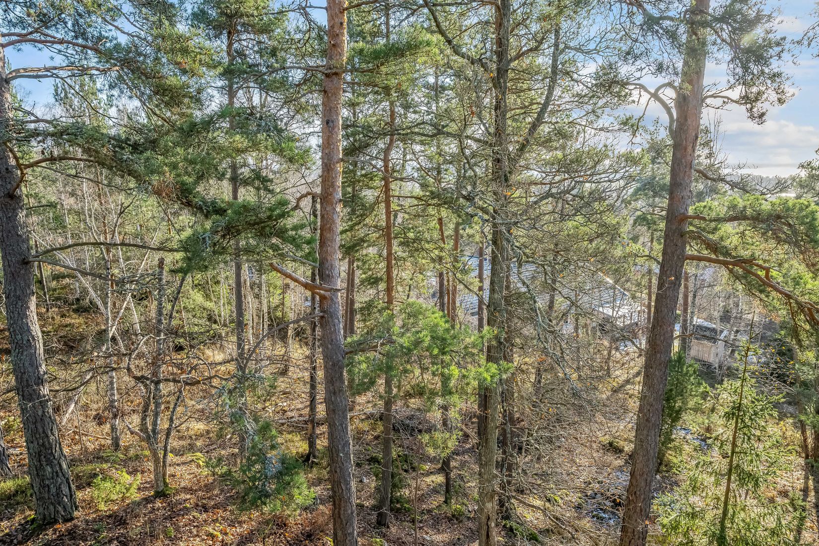 Tomt, Säterdalsvägen 7B, Svärtinge, Norrköping