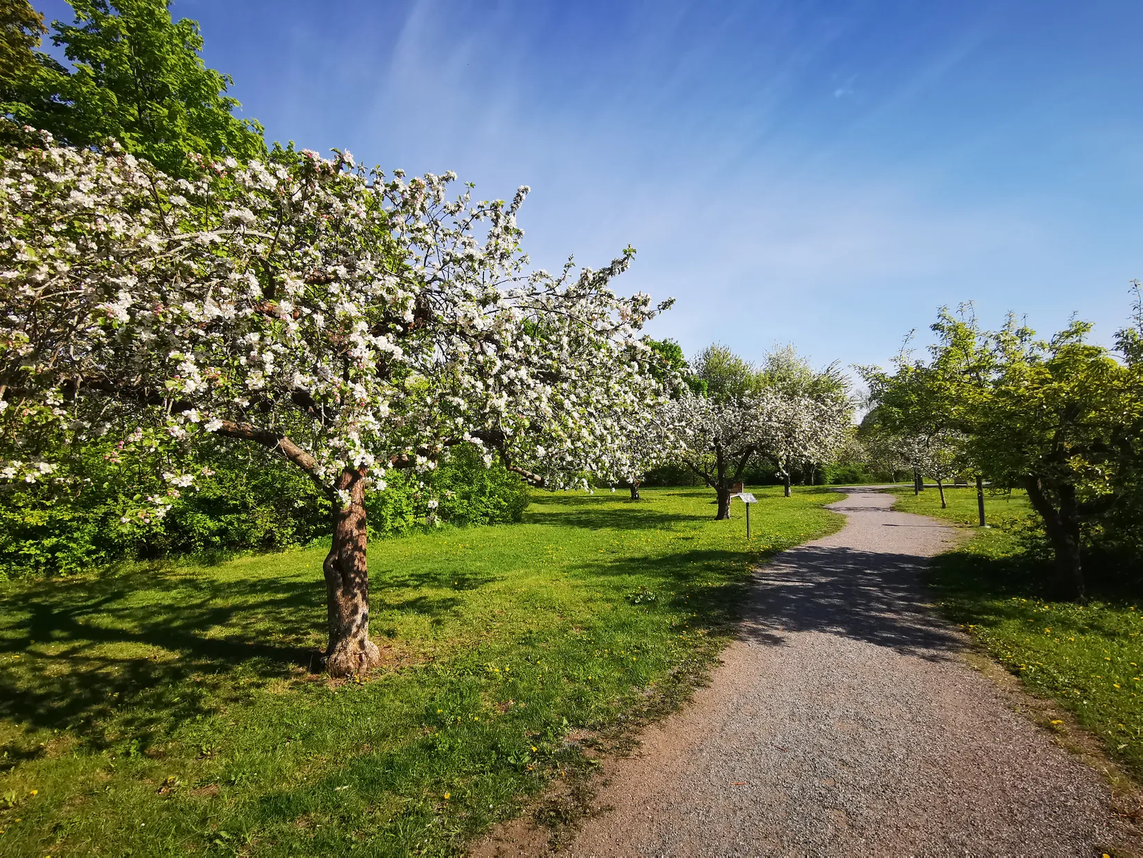 Bostadsrätt, Beckomberga ängsväg 20, Beckomberga, Stockholm