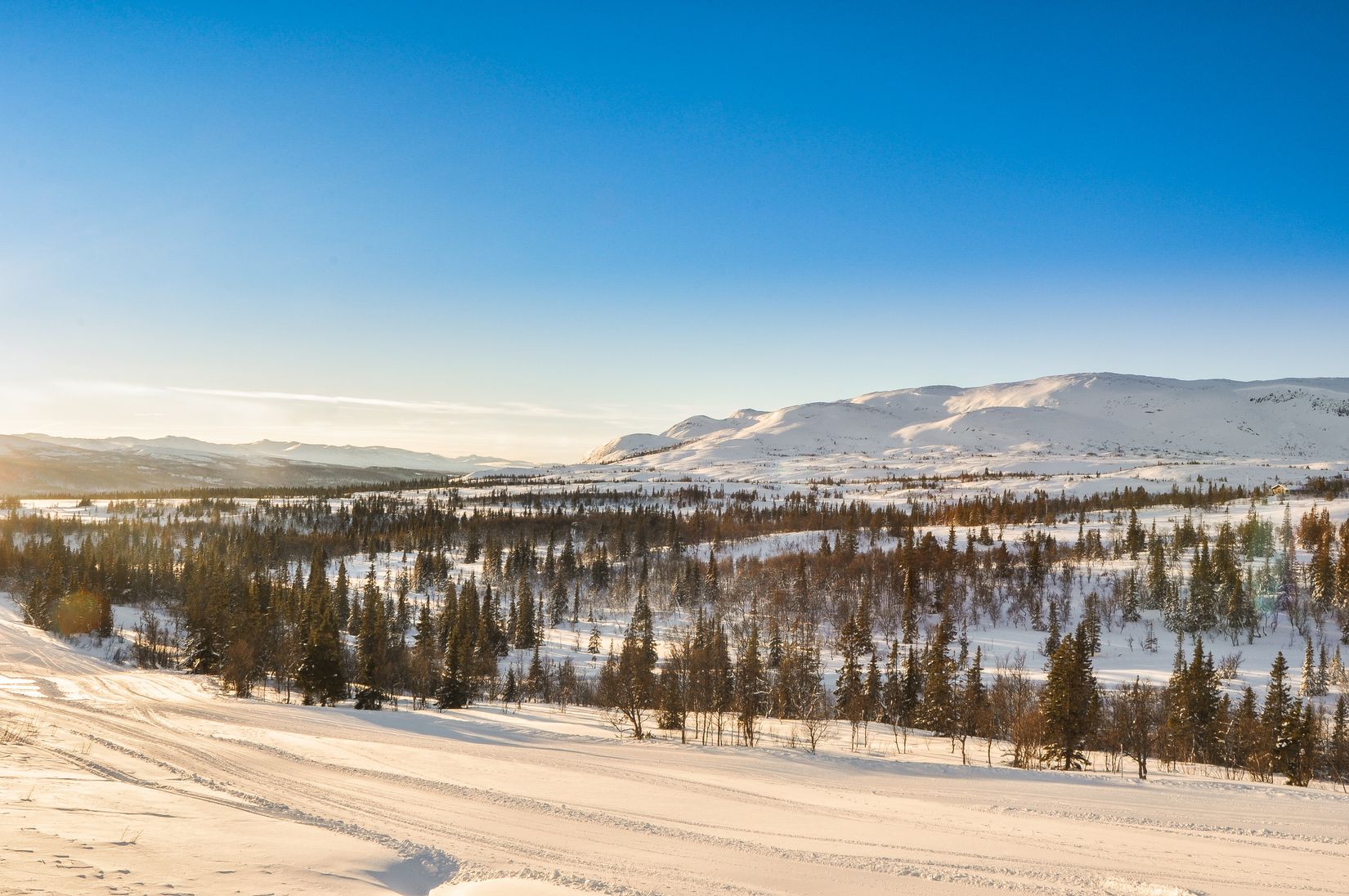 Tomt, Bräcke 1:126, Buustamon, Ullådalen, Åre