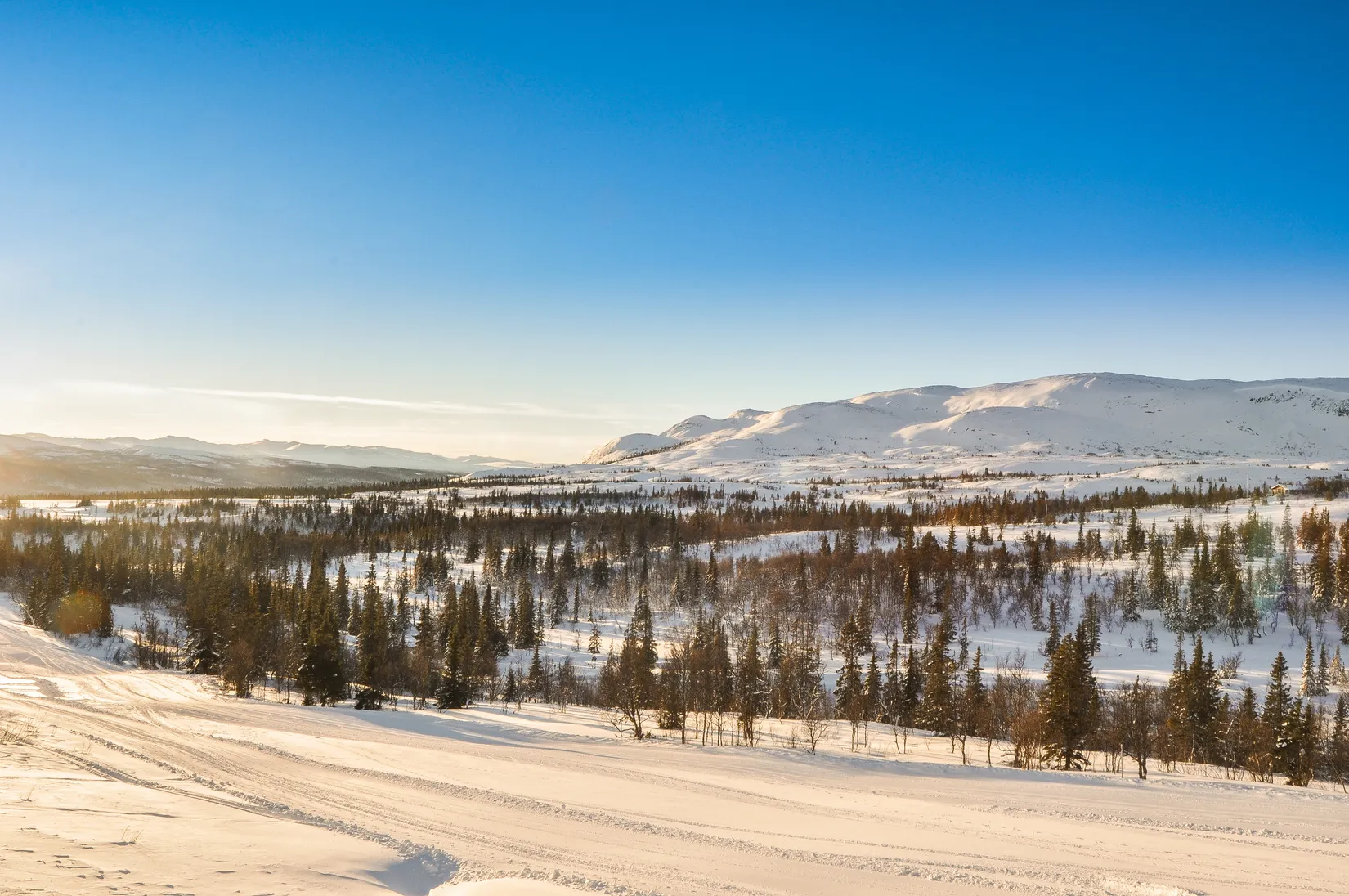 Tomt, Bräcke 1:126, Buustamon, Ullådalen, Åre