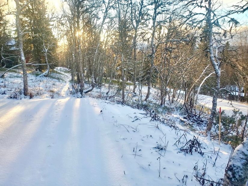 Tomt, Bräcke 1:126, Buustamon, Ullådalen, Åre
