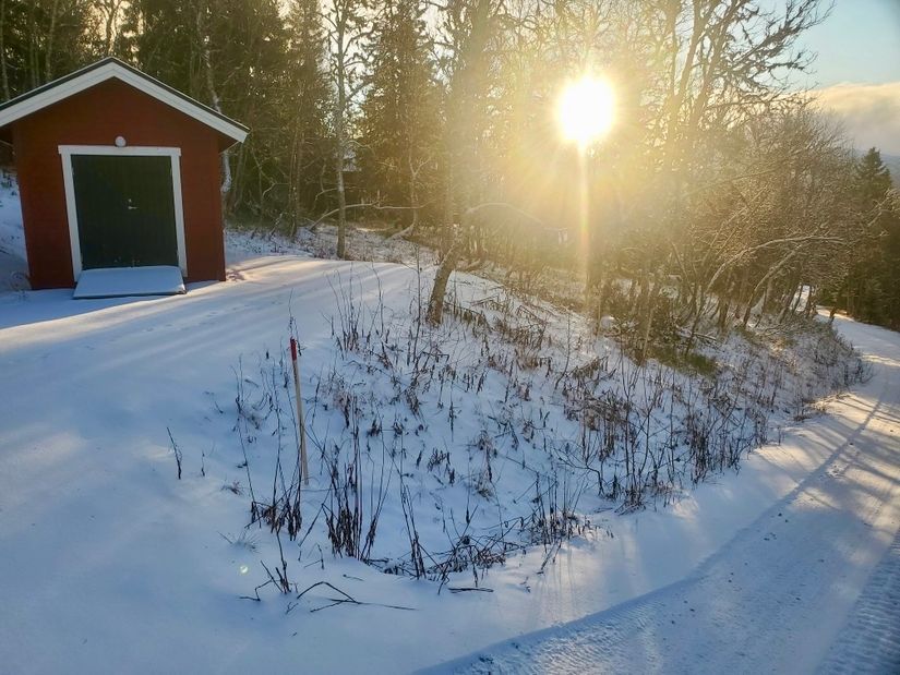 Tomt, Bräcke 1:126, Buustamon, Ullådalen, Åre