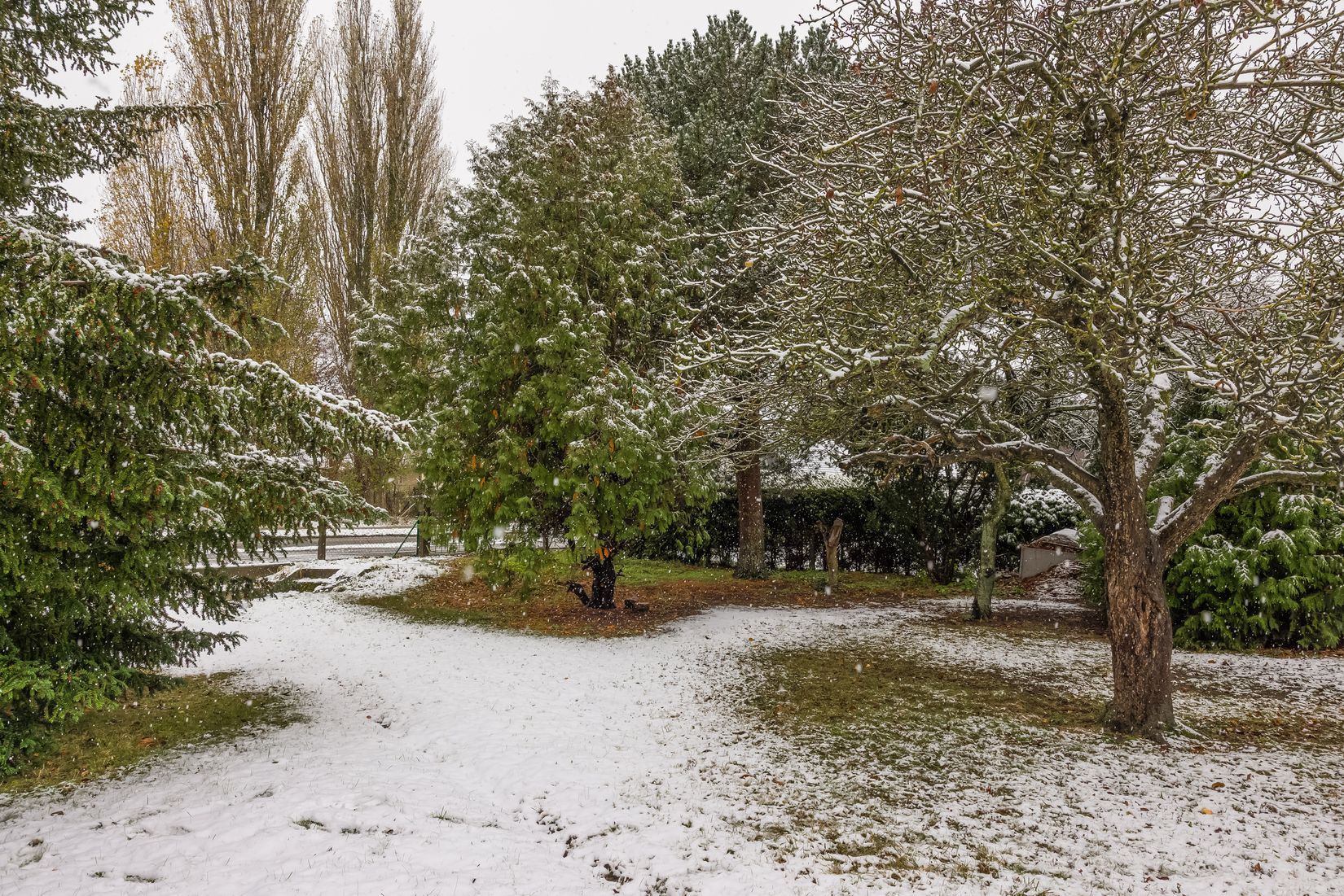 Villa, Vallbogatan 14, Virentofta, Malmö