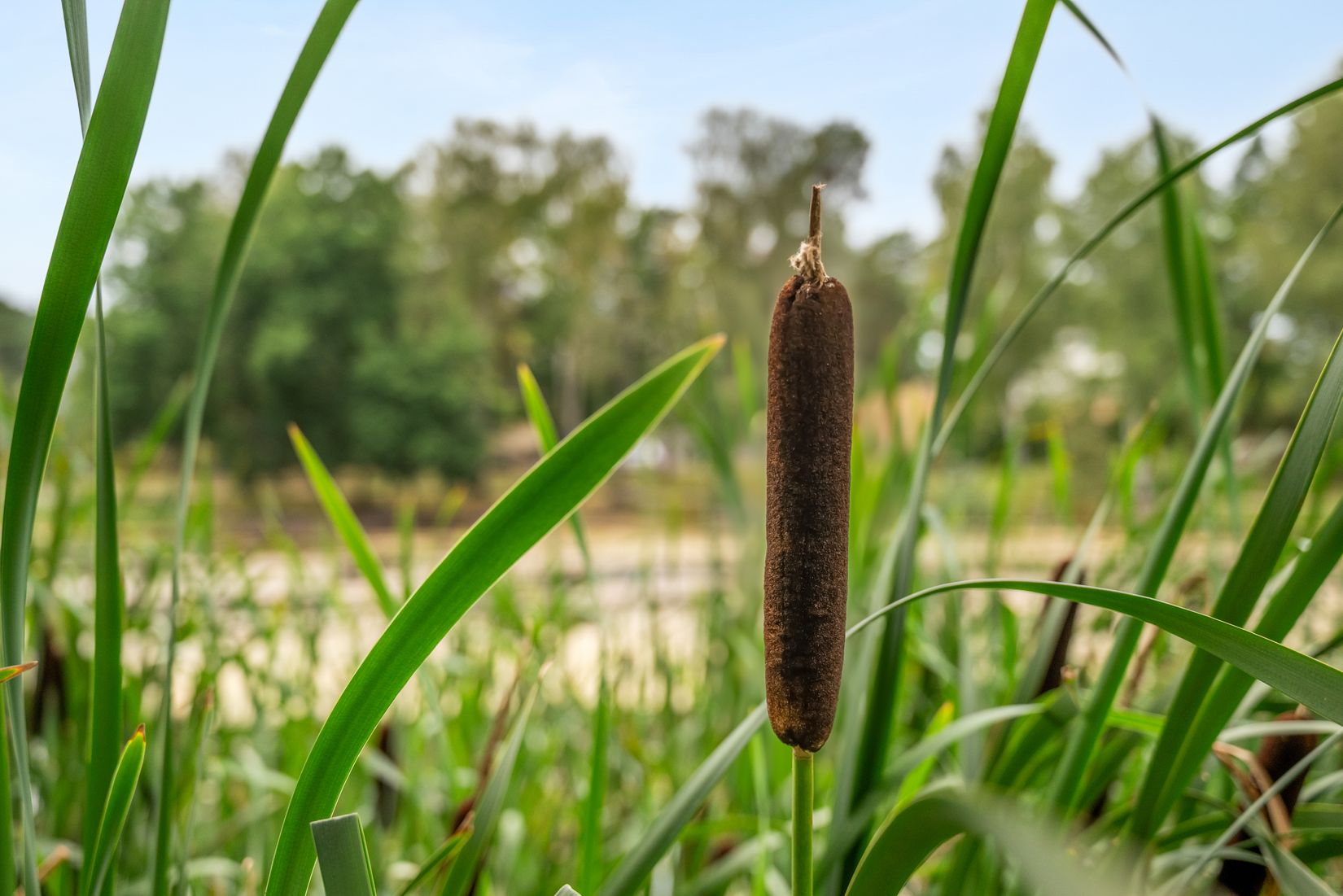 Bostadsrätt, Ljungkullen 7, Sävedalen, Partille